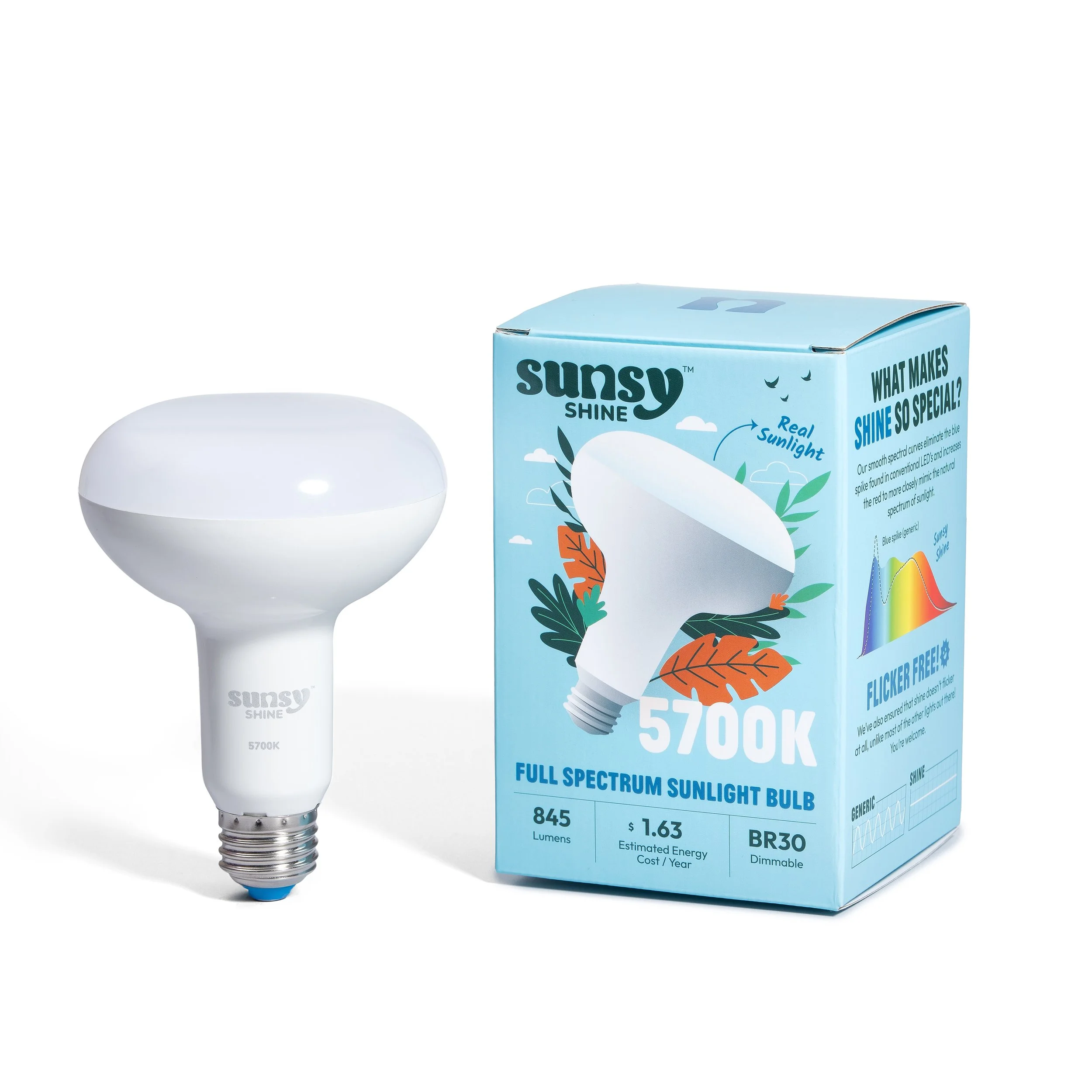 Sunsy_Dec 2025_7364.jpg