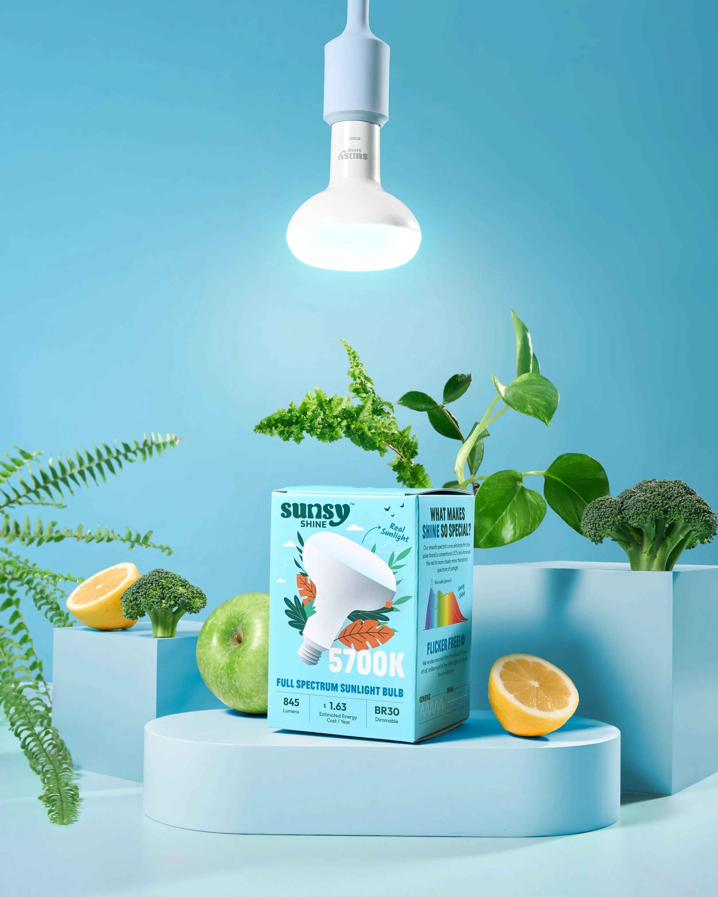 Sunsy_Dec 2025_7620.jpg