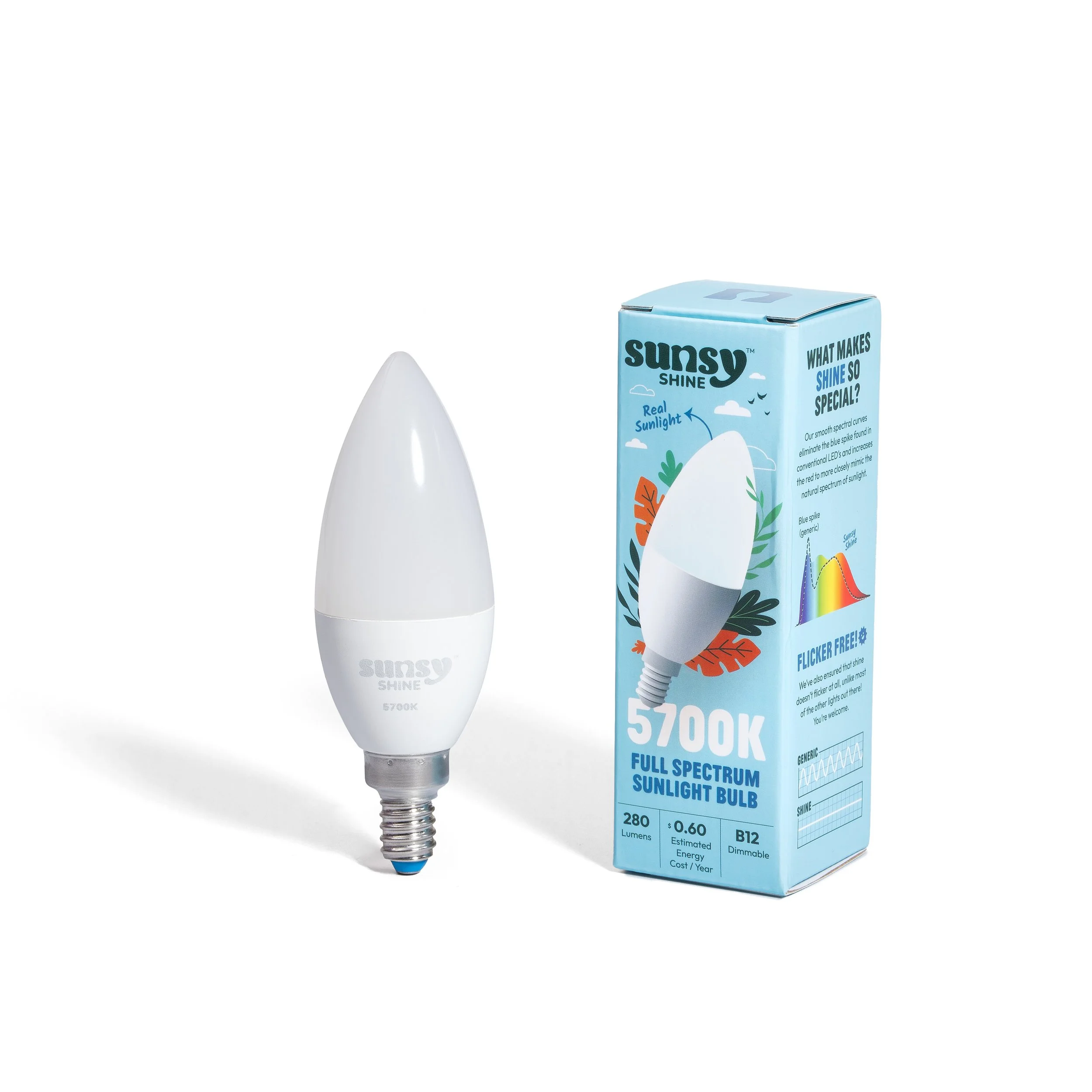 Sunsy_Dec 2025_7381.jpg