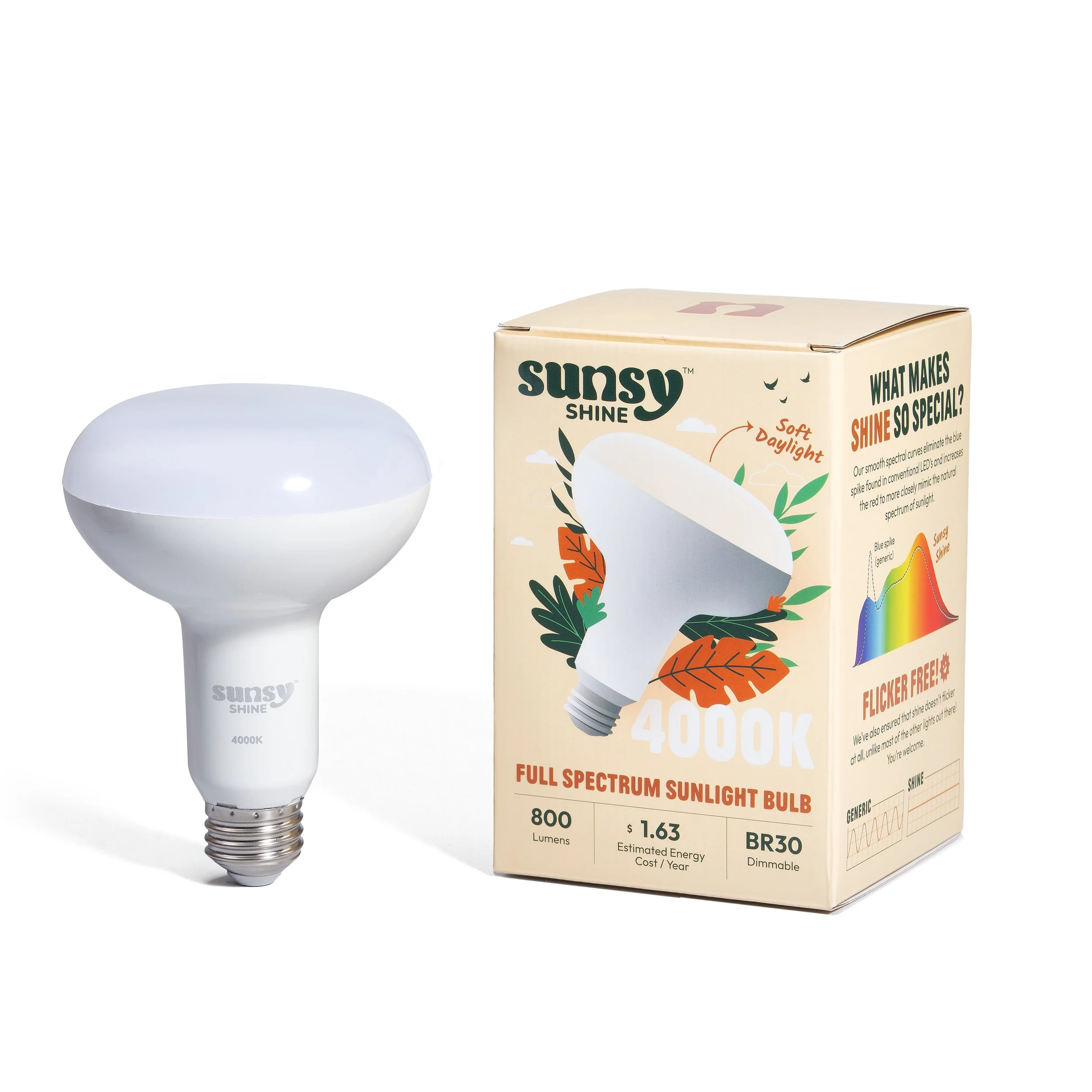 Sunsy_Dec 2025_7359.jpg