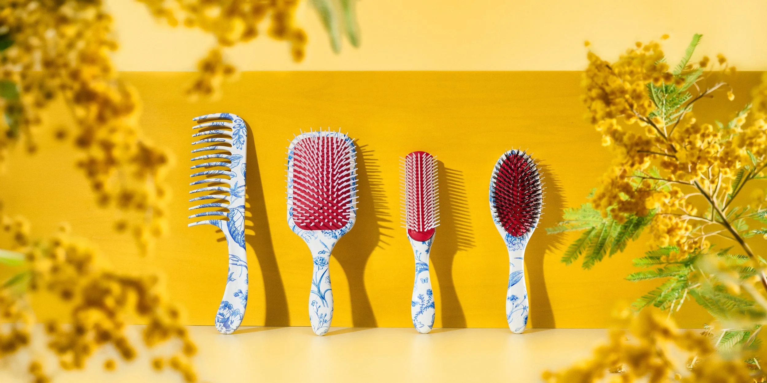 Denman_Blue Belle Launch2341 (banner 2-1).jpg