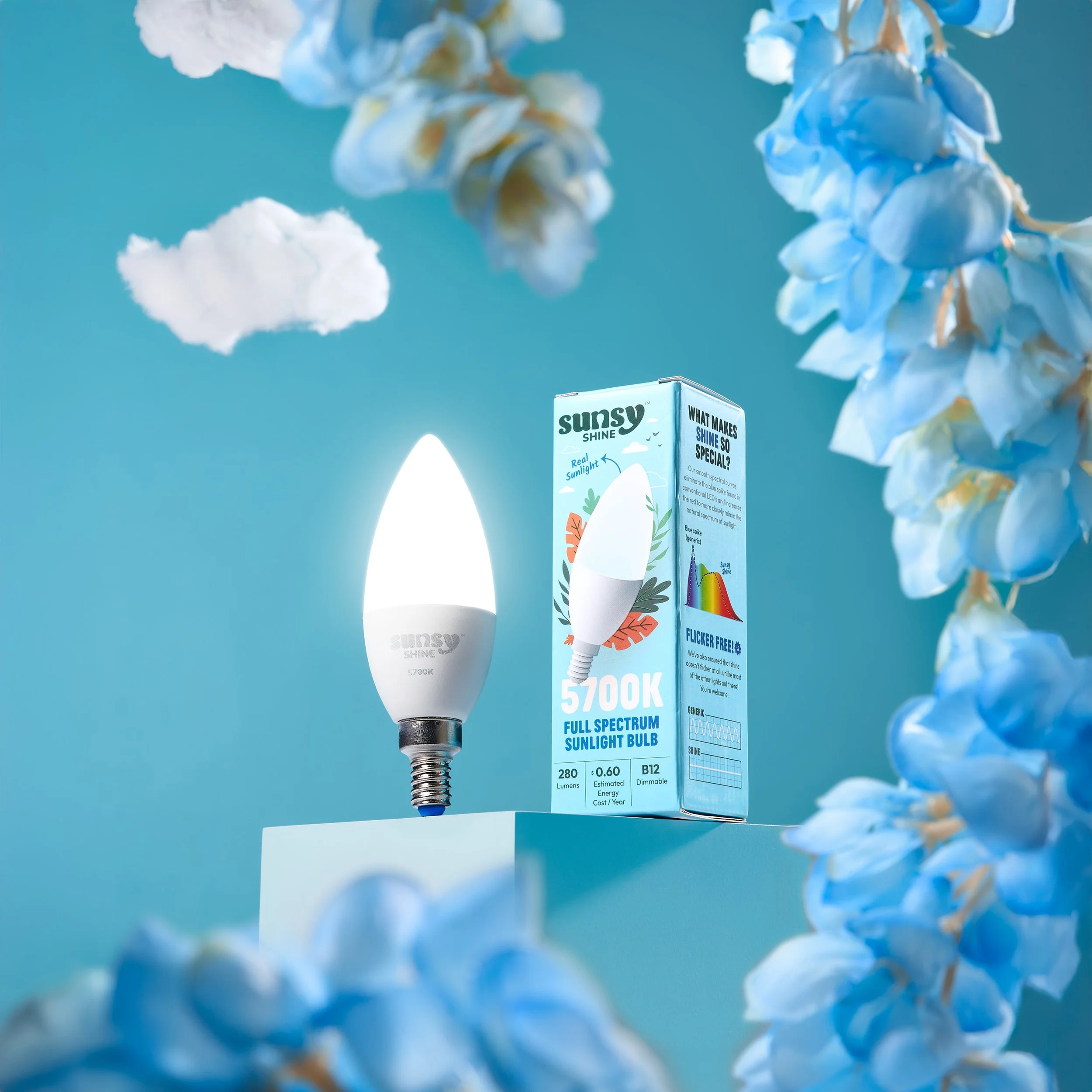 Sunsy | Expanded Bulb Range