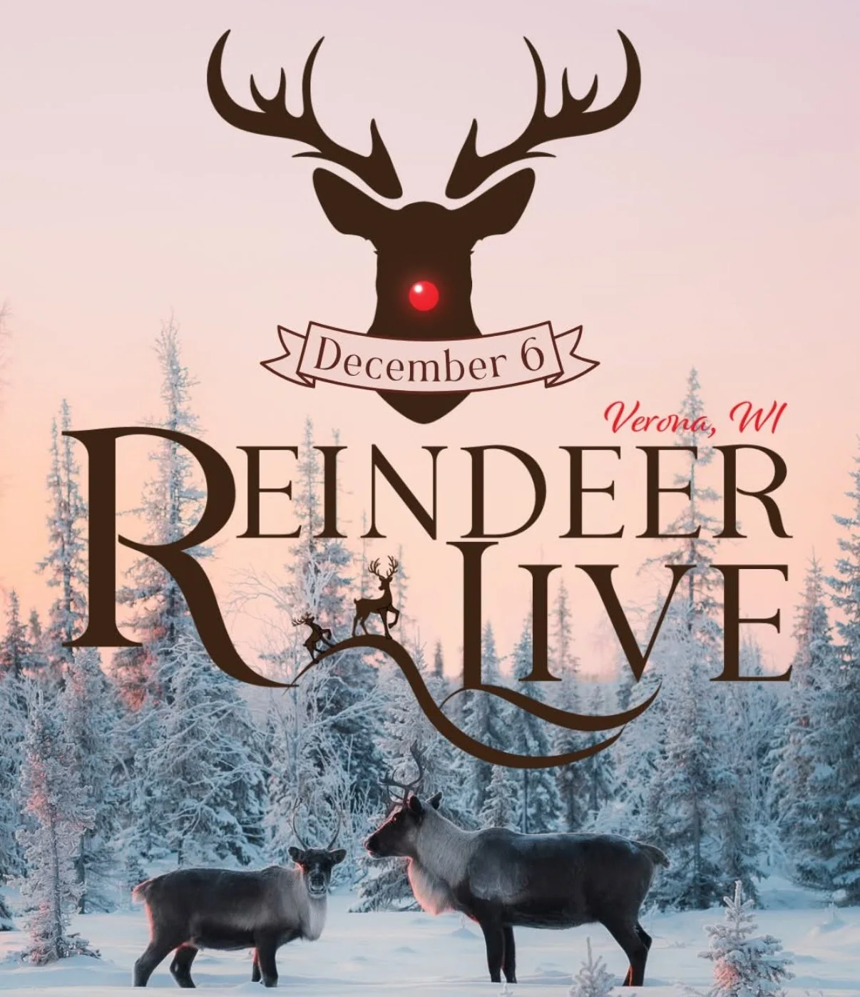 Reindeer Live