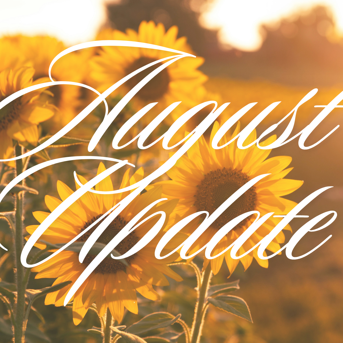 Pierce &amp; King County Housing Market Update: More Homes, More Choice and a Changing Fall Market