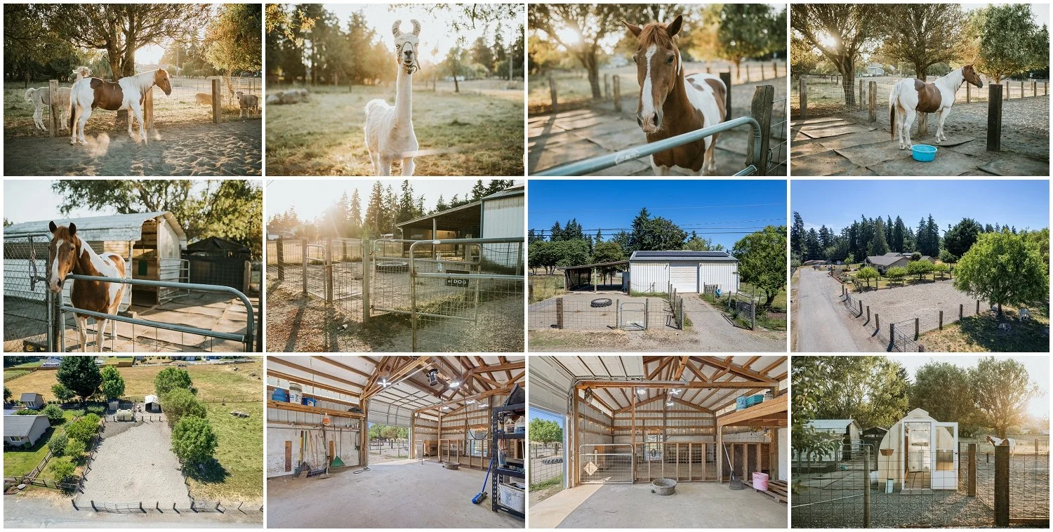 Tacoma WA acreage property with equestrian setup, shop, and buildable lot listed by Andrea Hamre Realtor