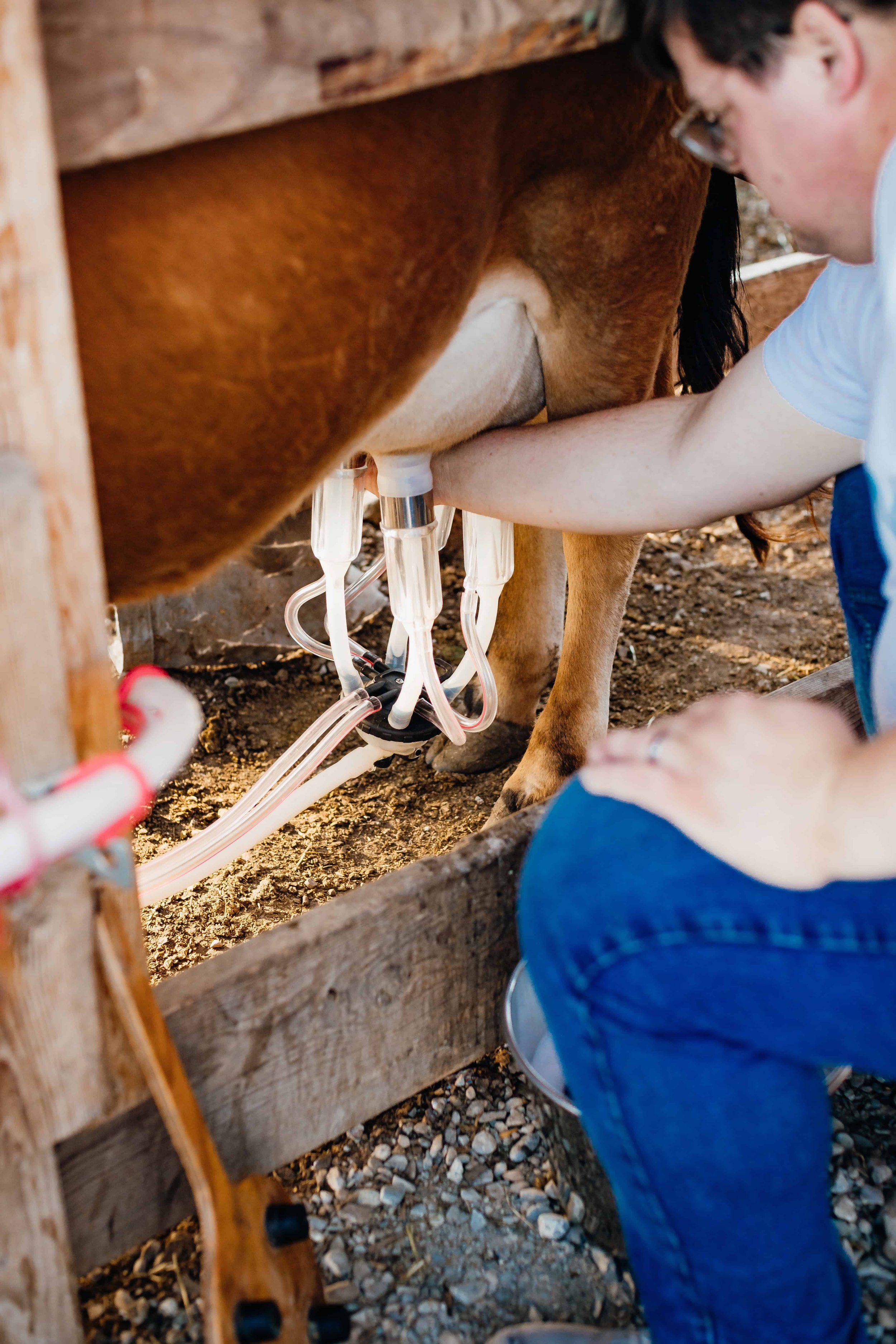 milkhouse-14.jpg