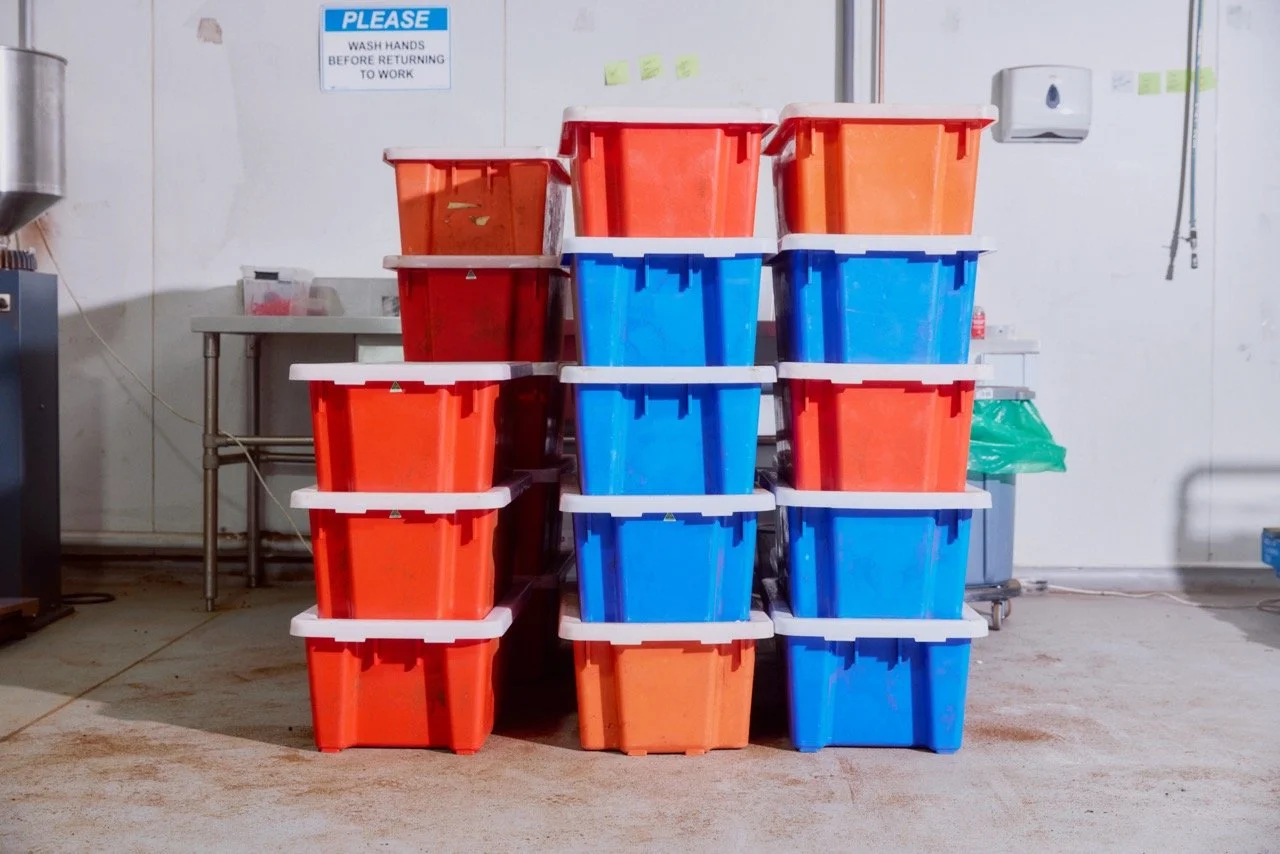 06.08.24_FirstPressCoffee__0395 Large.jpeg