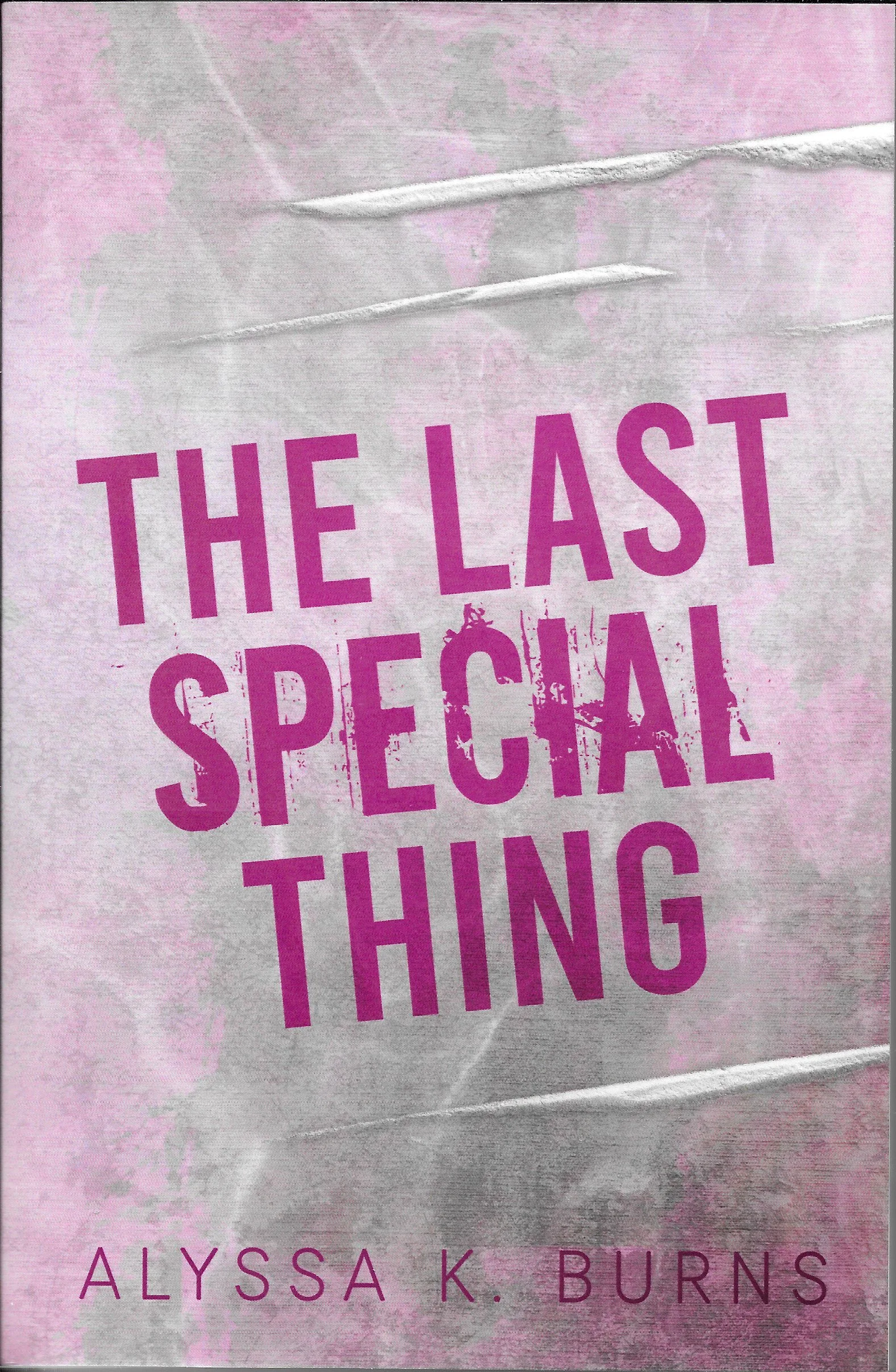 The Last Special Thing.jpeg