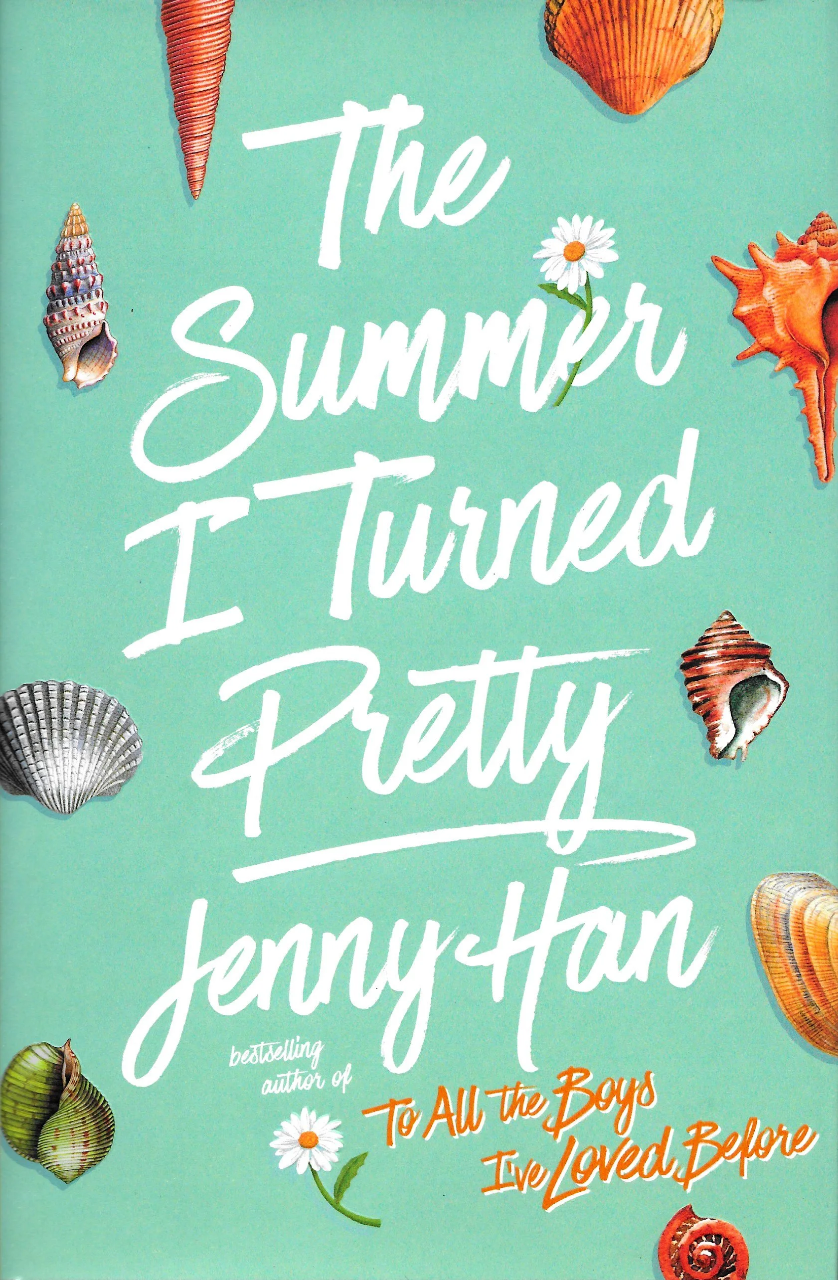 The Summer I Turned Pretty.jpeg