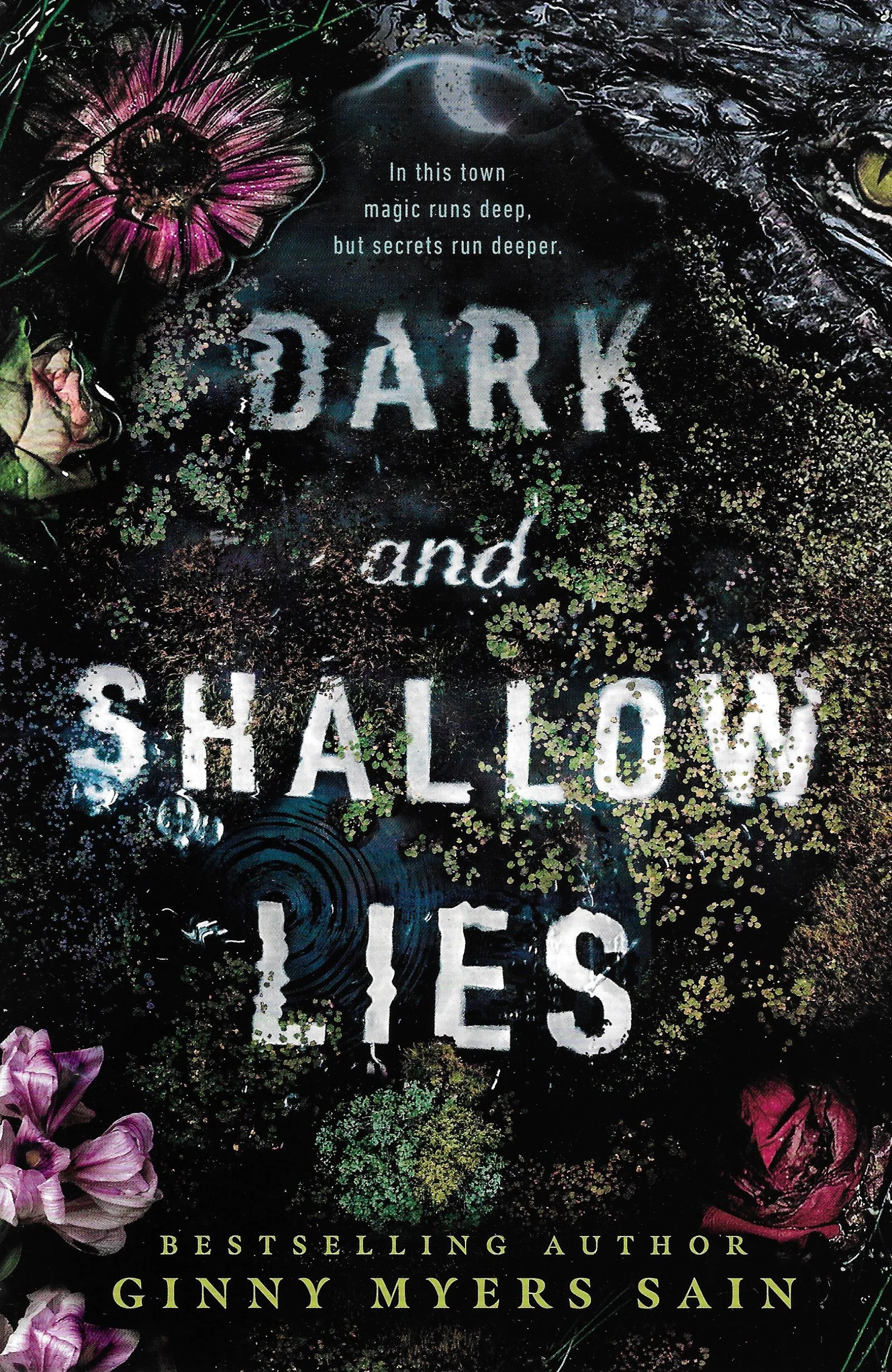 Dark and Shallow Lies.jpeg