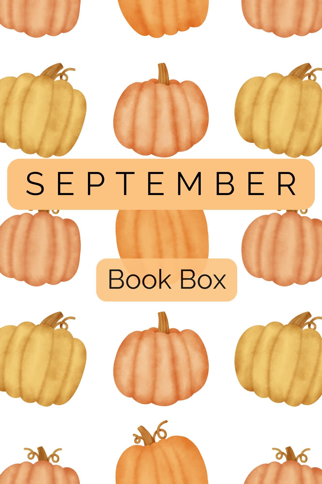 september book box featuring an independently published young adult book