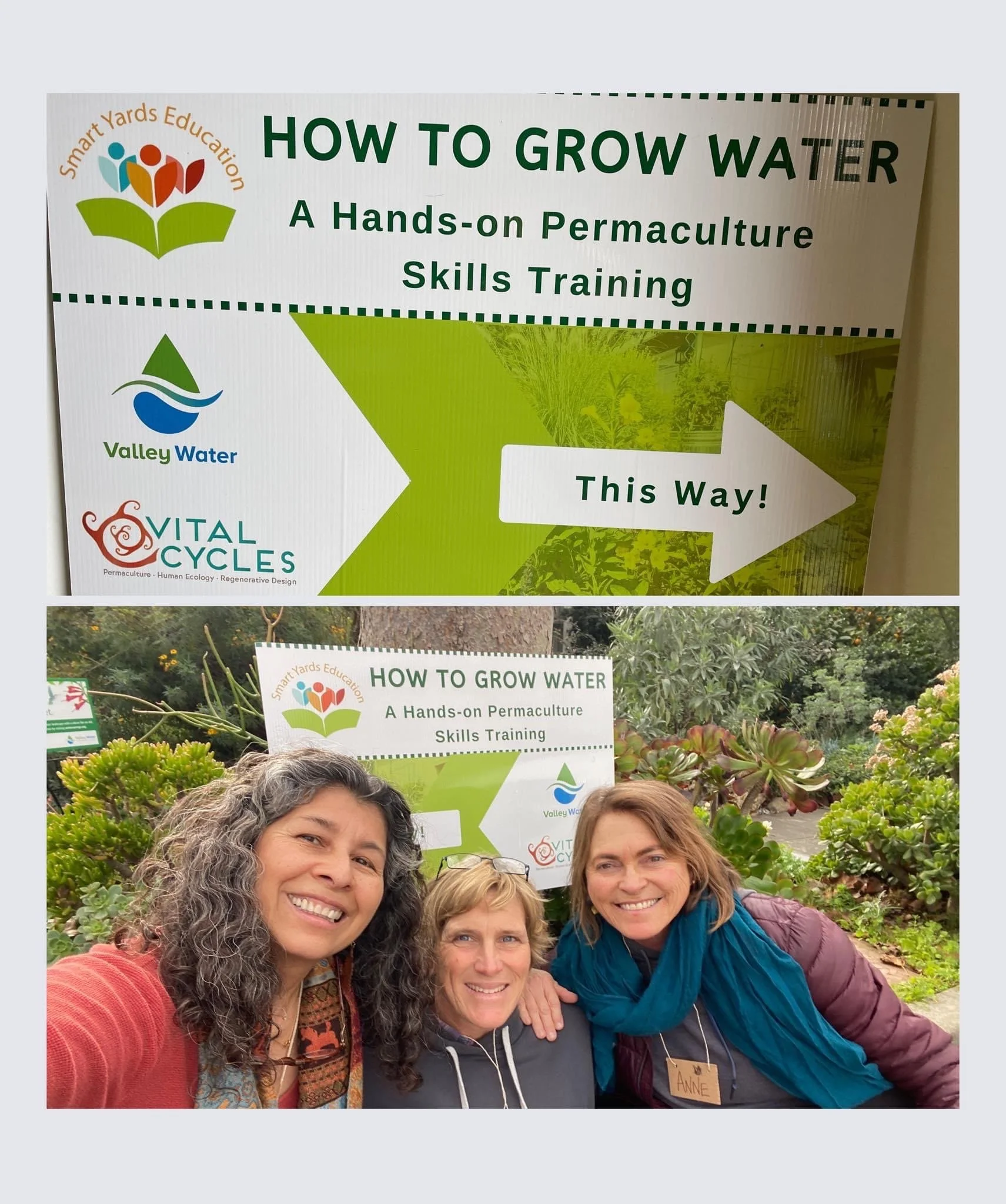 Smart Yards Lawn Conversion: Habitat, & Rain Garden