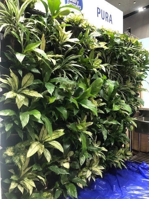 The Power of a Professional Green Wall Backdrop 