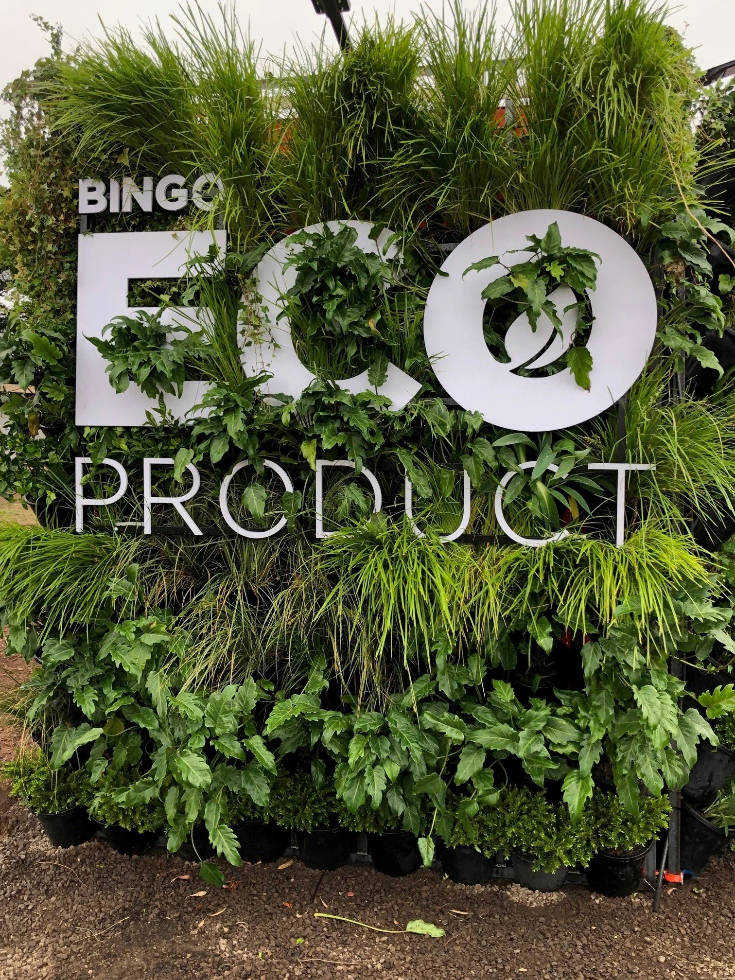 Block Eco green wall.jpg