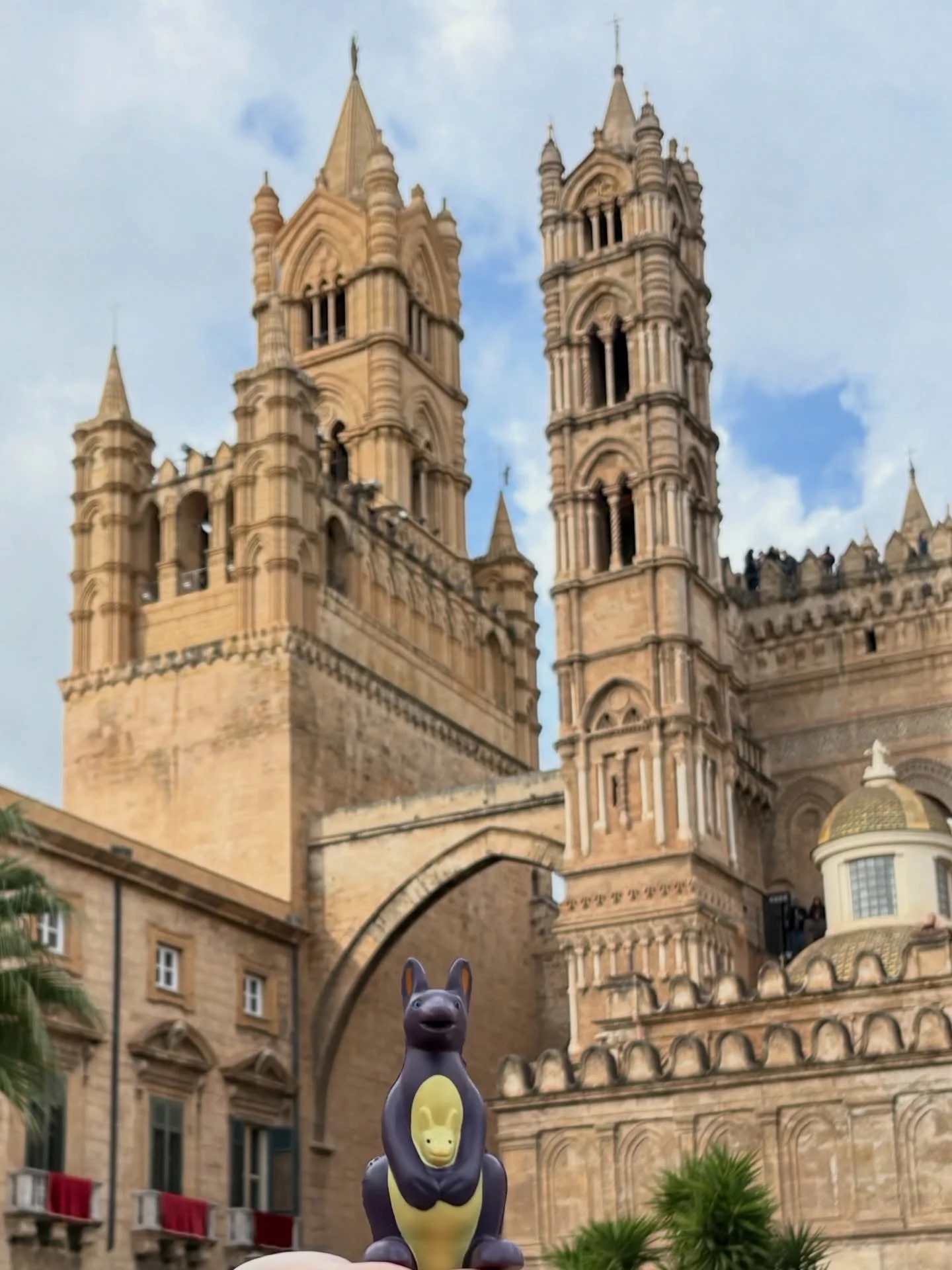 Larry is out and about in Palermo 🦘