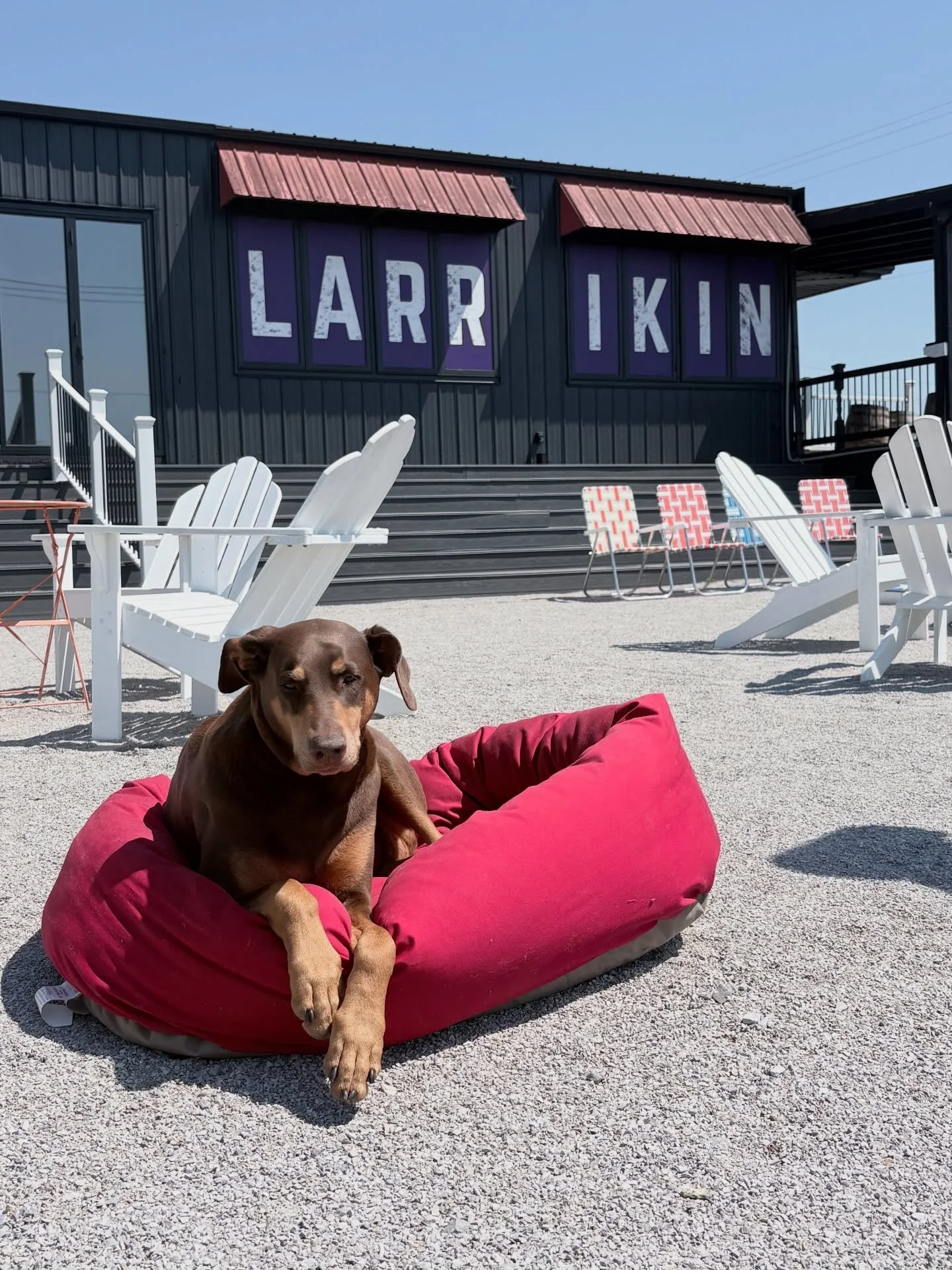 Betsy Ross enjoying patio season ☀️