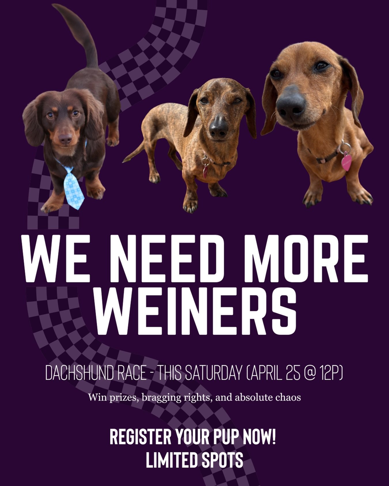 Got a dachshund that thinks they&rsquo;re fast? Prove it. 🏁

We&rsquo;re hosting a dachshund race THIS SATURDAY at 12PM and we still need a few more contenders.

Prizes, bragging rights, and absolute chaos guaranteed.

👉 Register your pup now &mdas