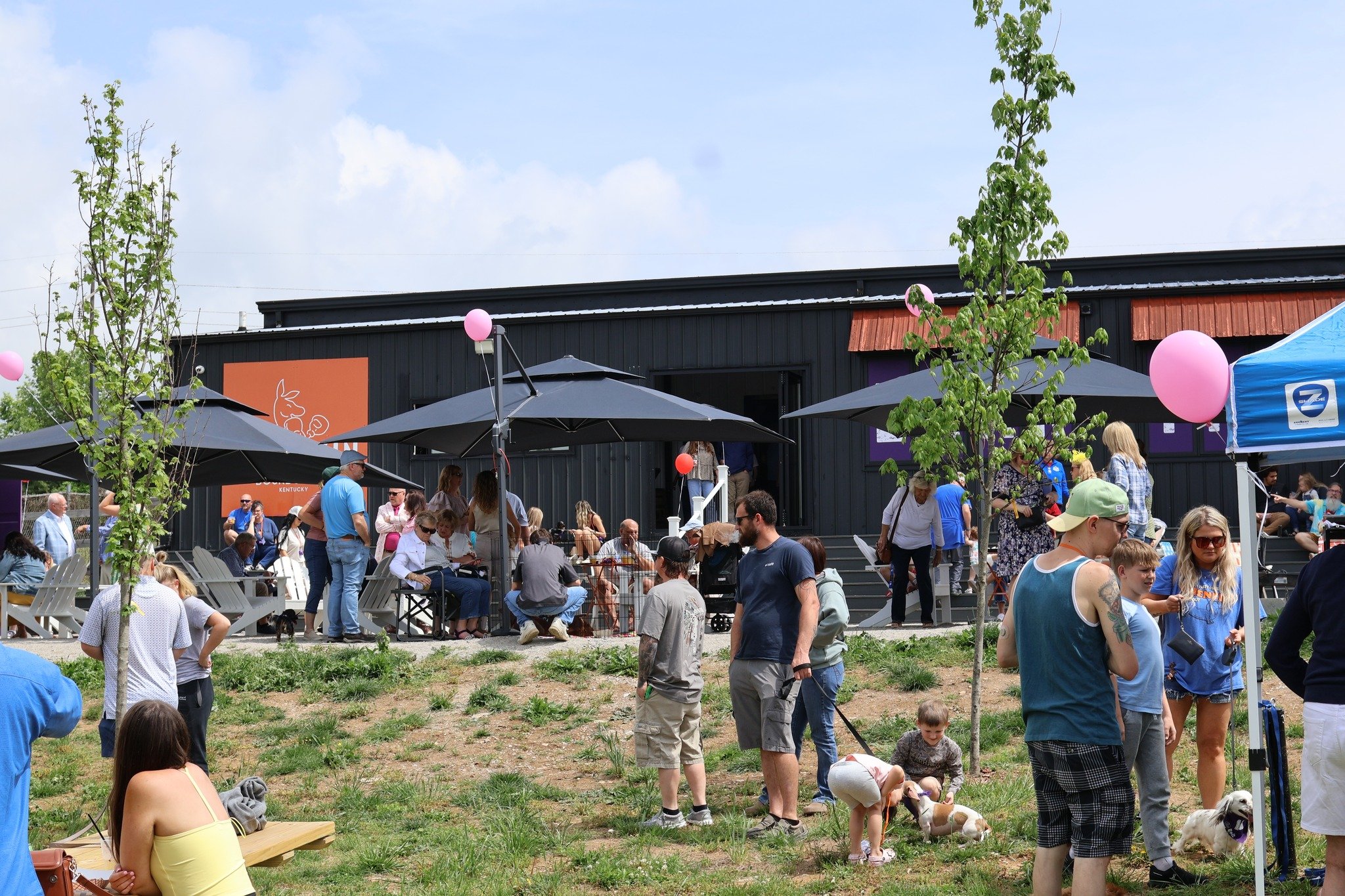 Despite the name, there are no puppets. Just Puppet Show playing live at Larrikin from 2 PM &ndash; 5 PM. 🎶🥃 Come hang out!