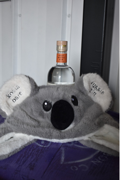 Koala Bare Beanie1.png
