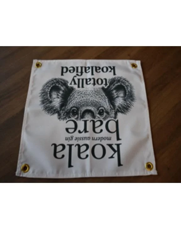 Bare Camp Flags2.jpg