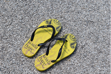 Flip Flops1.png