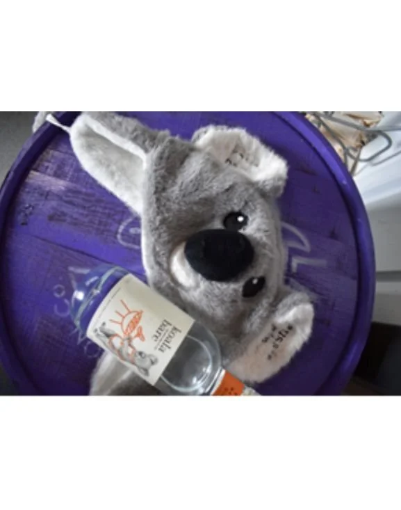 Fluffy Koala Bare3.jpg