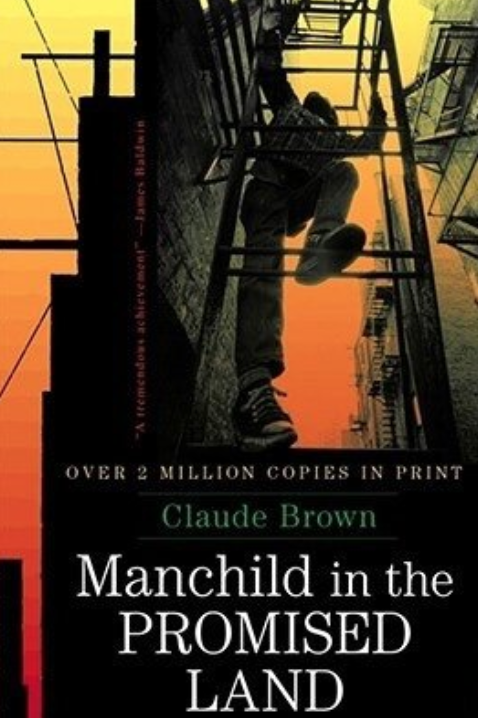 Screen Shot 2024-12-04 at 12.52.52 PM.png