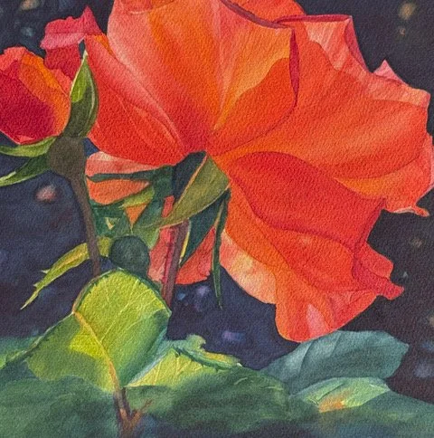 Mary Anderson, Watercolor