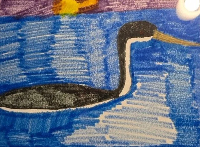 "Western Grebe" by Seth Cruz