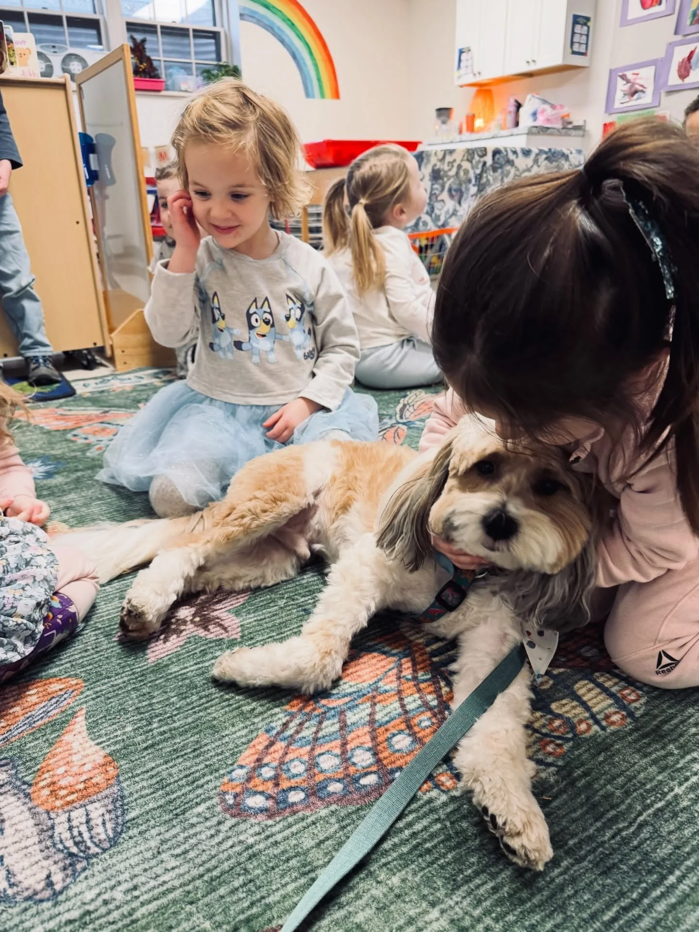 Everyone is always excited about a visit from @mochitherapydog! 

Mochi brings a lot of joy (and kisses) and the kids love to sneak in as many snuggles and pets as they can! ☀️ 

#njmom #playbasedlearning #playbasedpreschool #preschoolactivities #pre