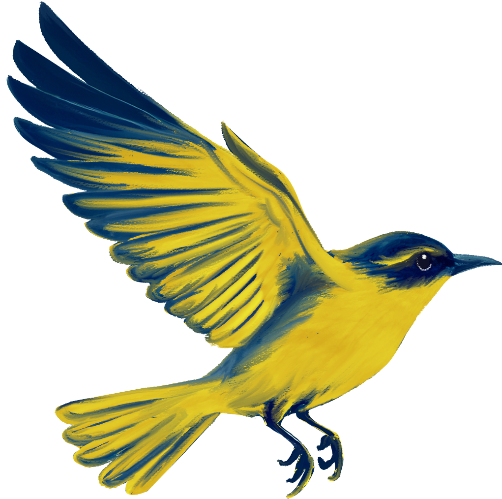 illustrated bird