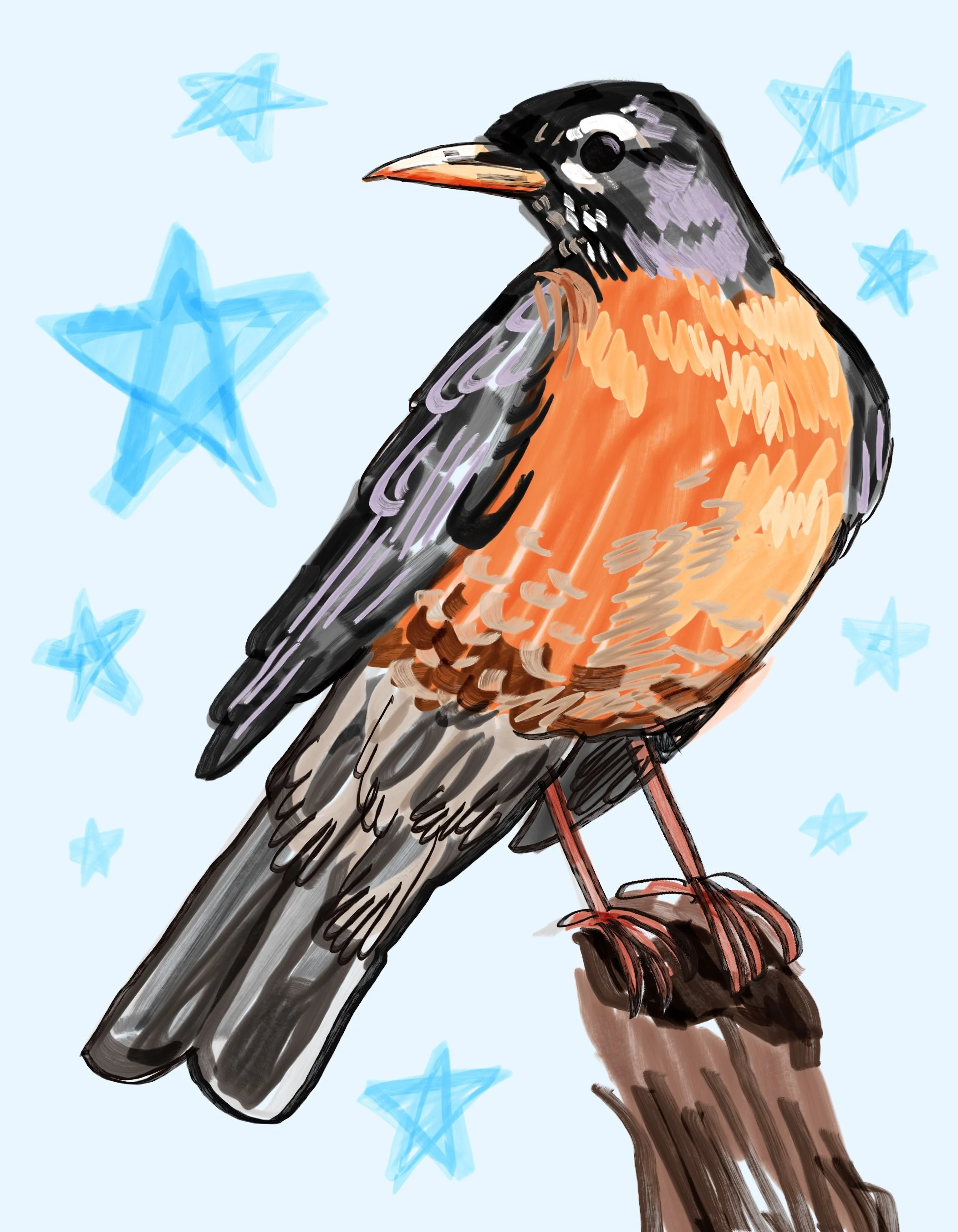 Nurturing Natives- American Robin