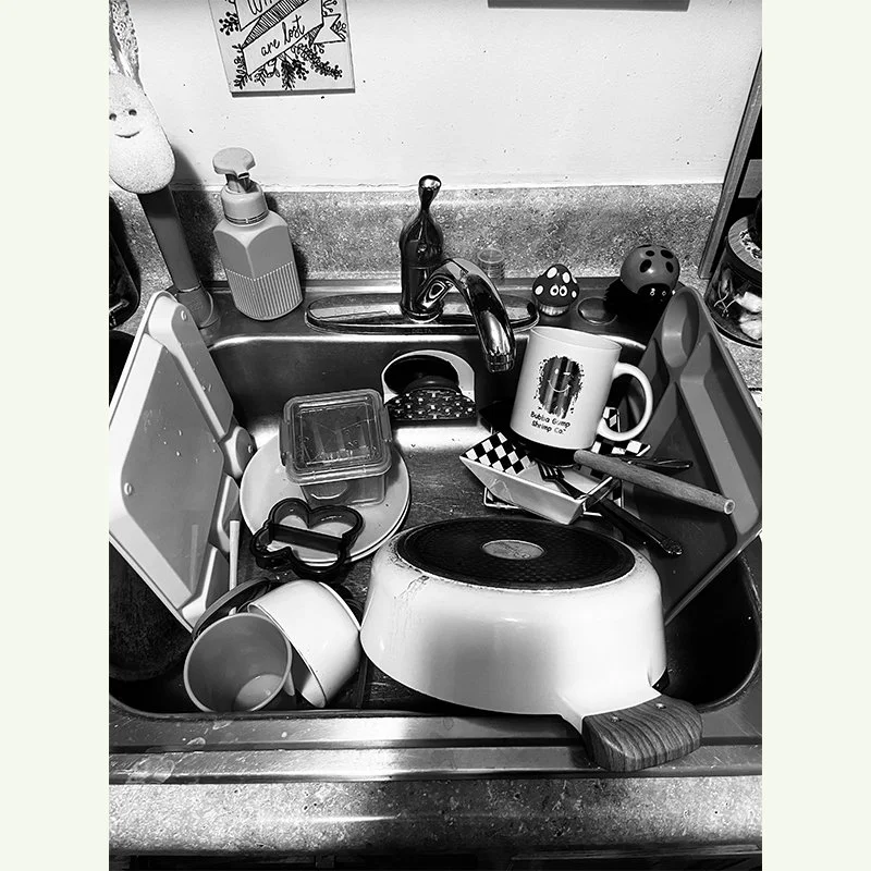    Dishes in the Sink    Raegan Patercsak - U-M Flint 