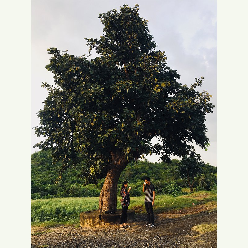    Home Isn’t a Spot on a Map — It’s the People and Moments That Stay   Ruhi Vadsariya - U-M Dearborn 