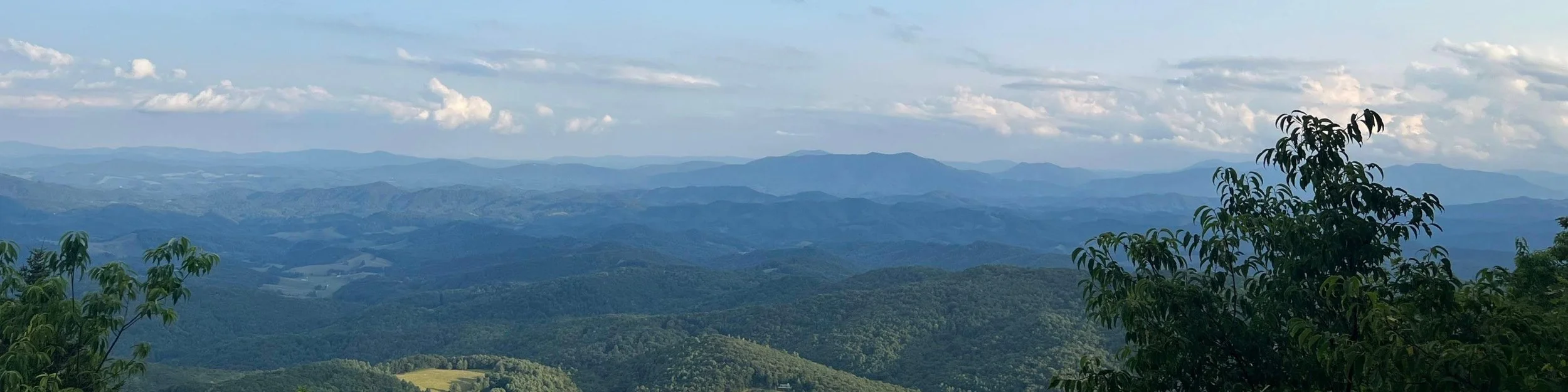 Maize Loves Blue Ridge