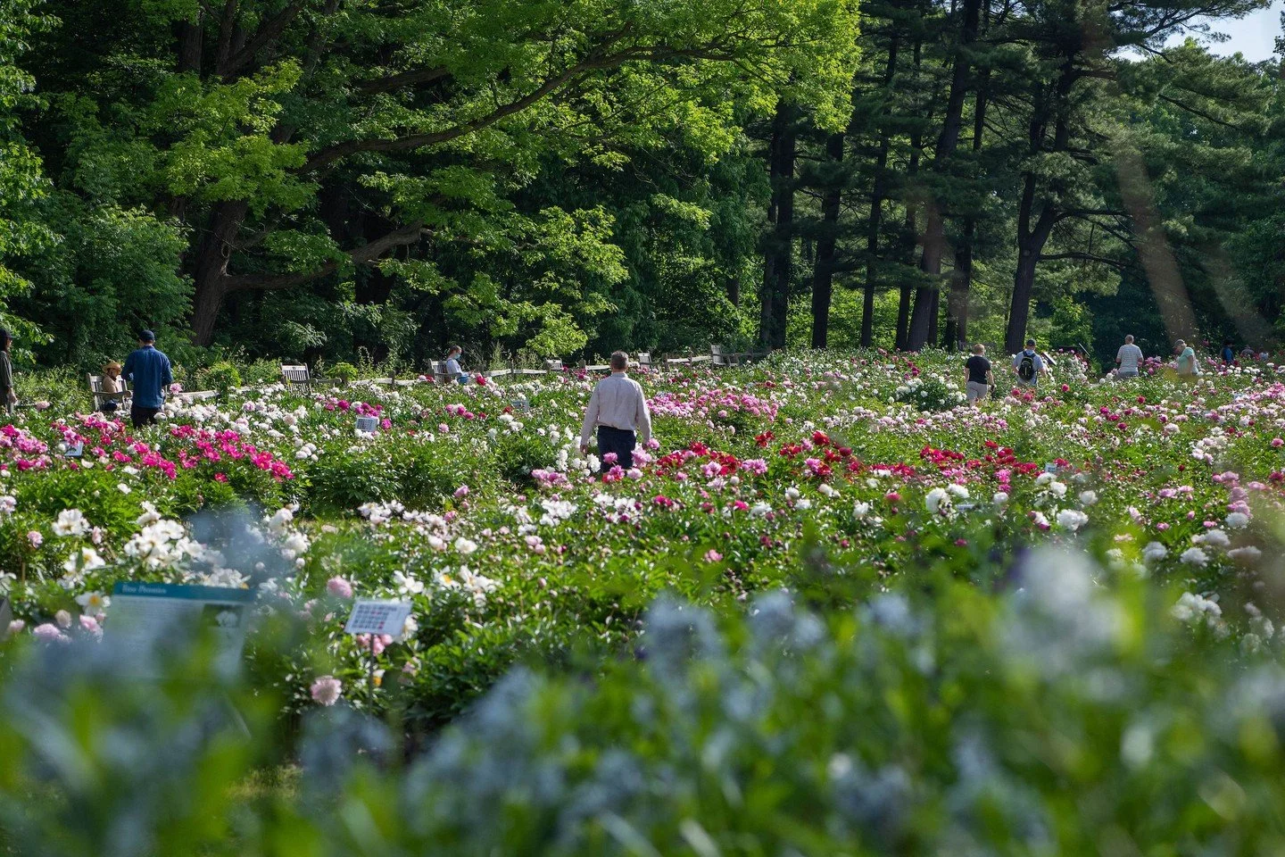Matthei Botanical Gardens