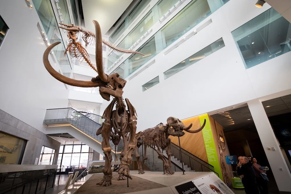 Museum of Natural History