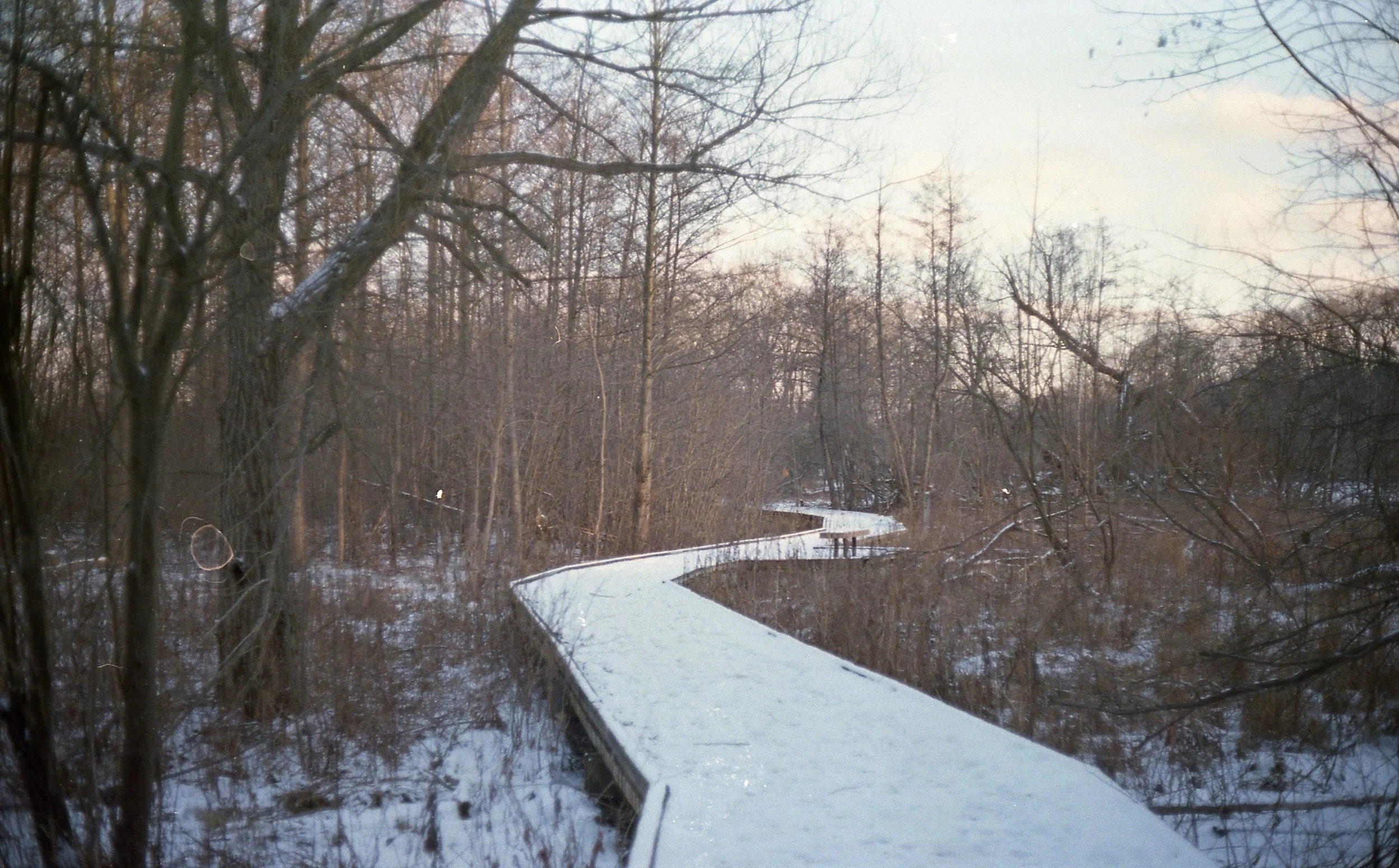 “Trail” by Safiya Tukurah
