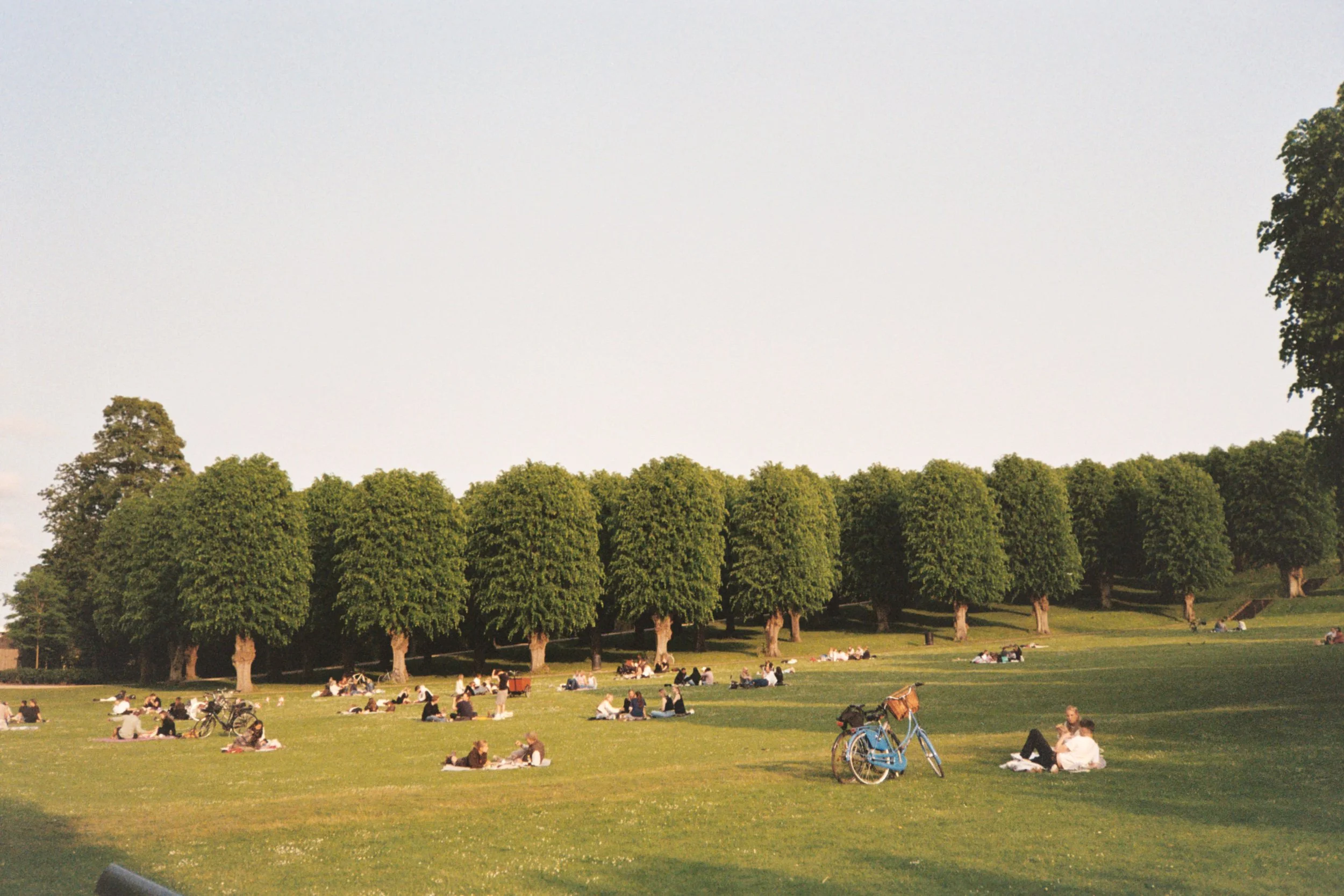 Picnic in Frederiksberg	 - 	Eunice	 	Kim