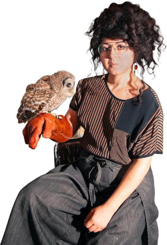 Sheida Soleimani Fellow in the Arts