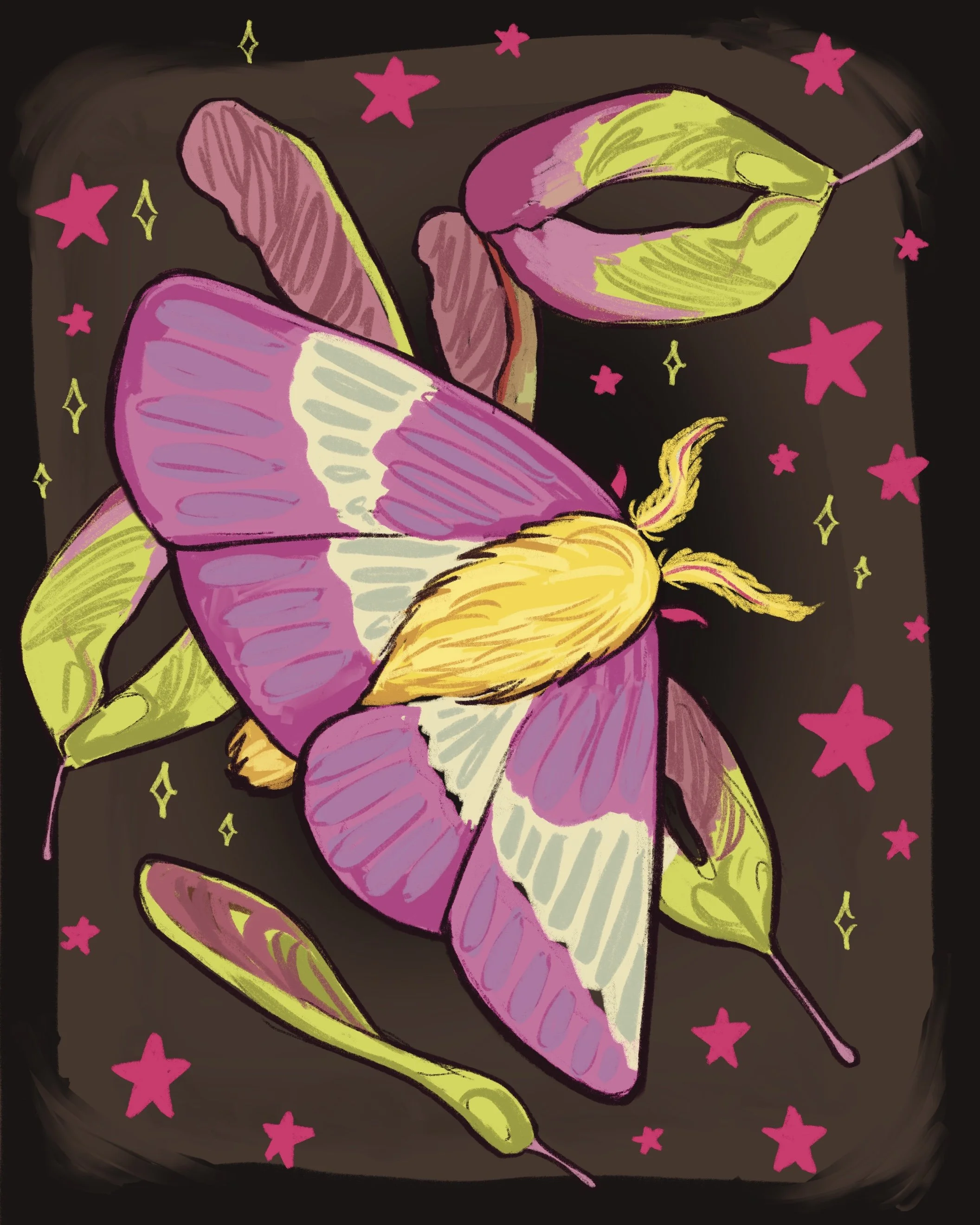 Nurturing Natives- Rosy Maple Moth