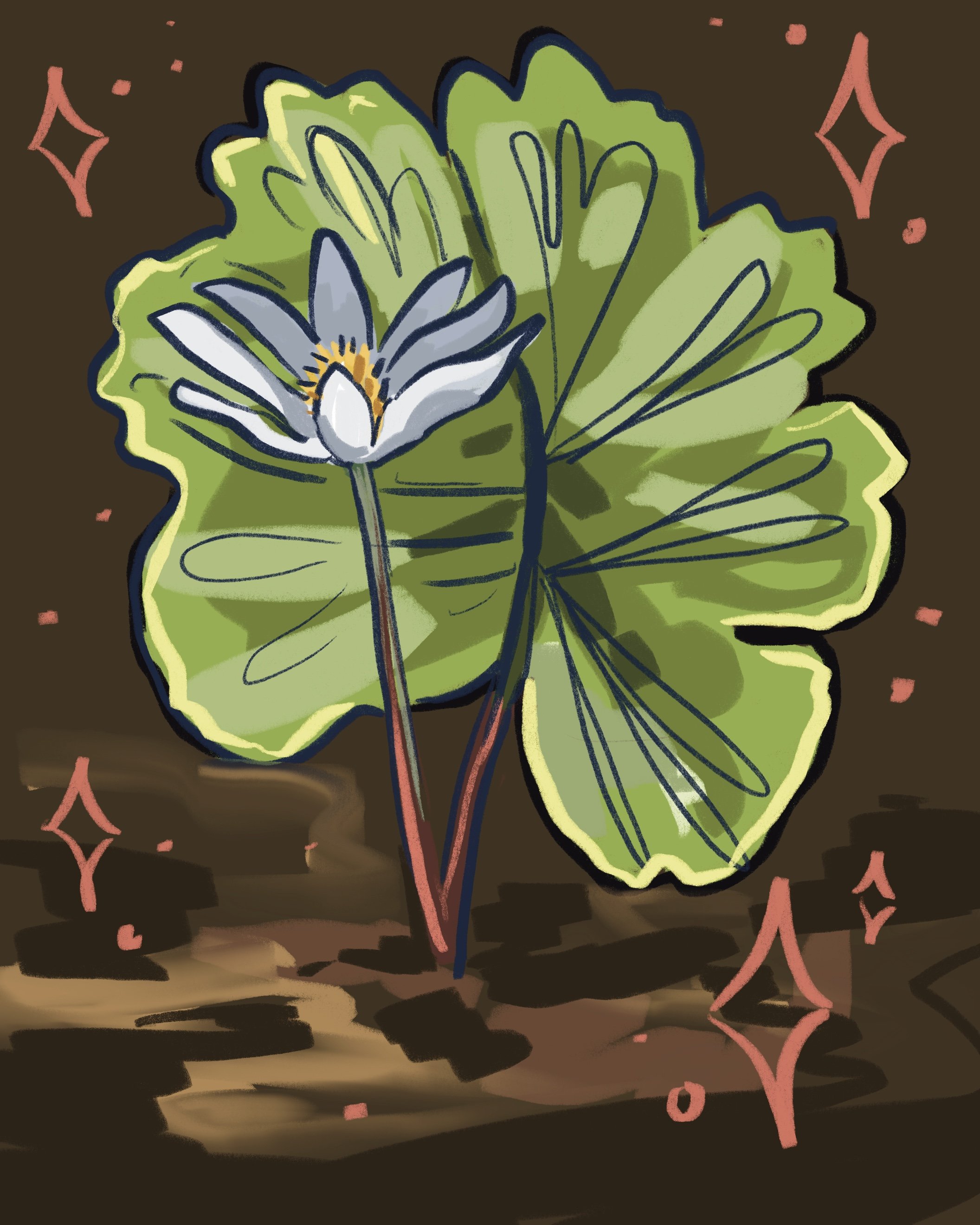 White bloodroot flower with red stem sits atop a large green leaf on brown backround
