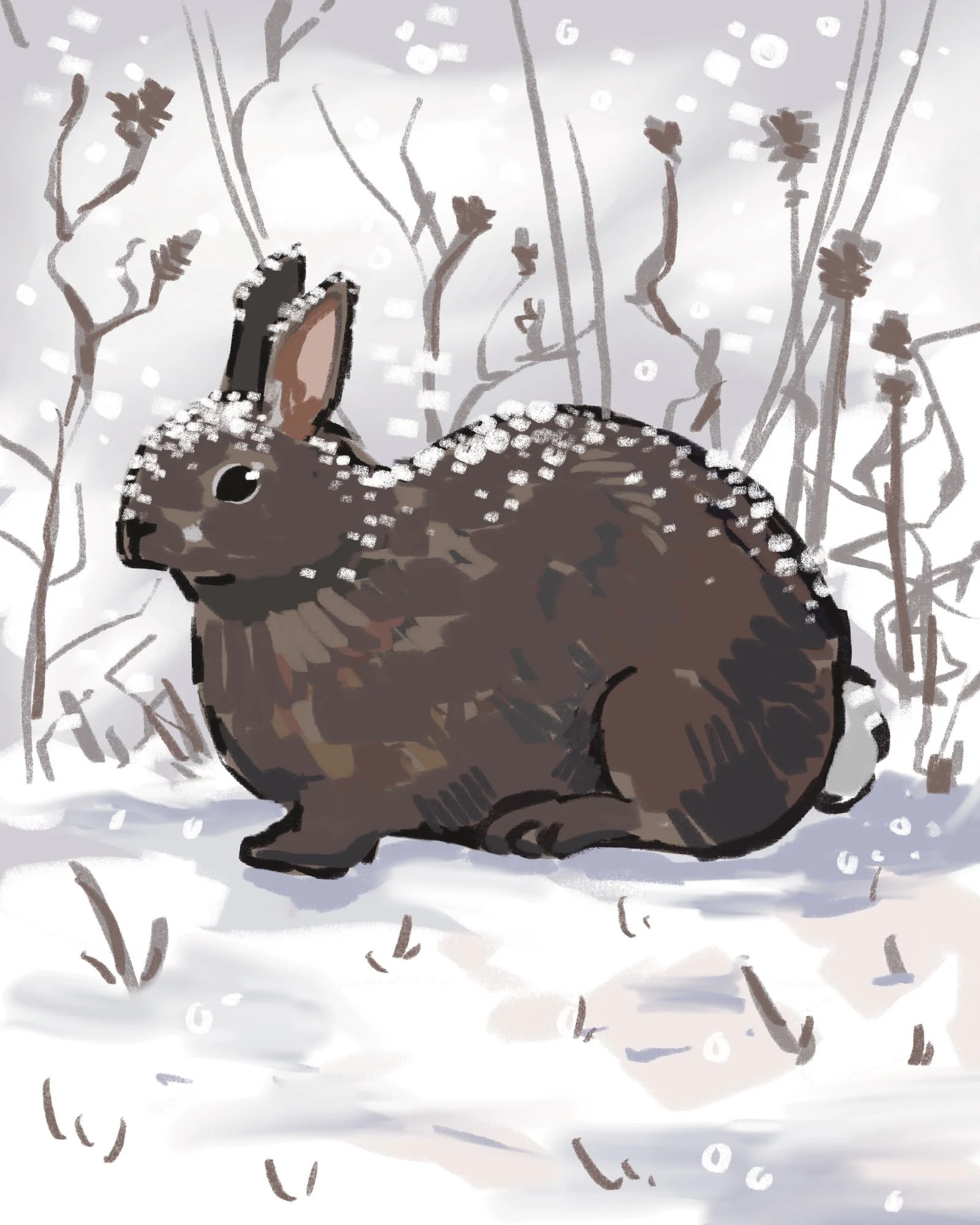 A brown eastern cottontail bunny sits on a blanket of snow as snowflakes come down.