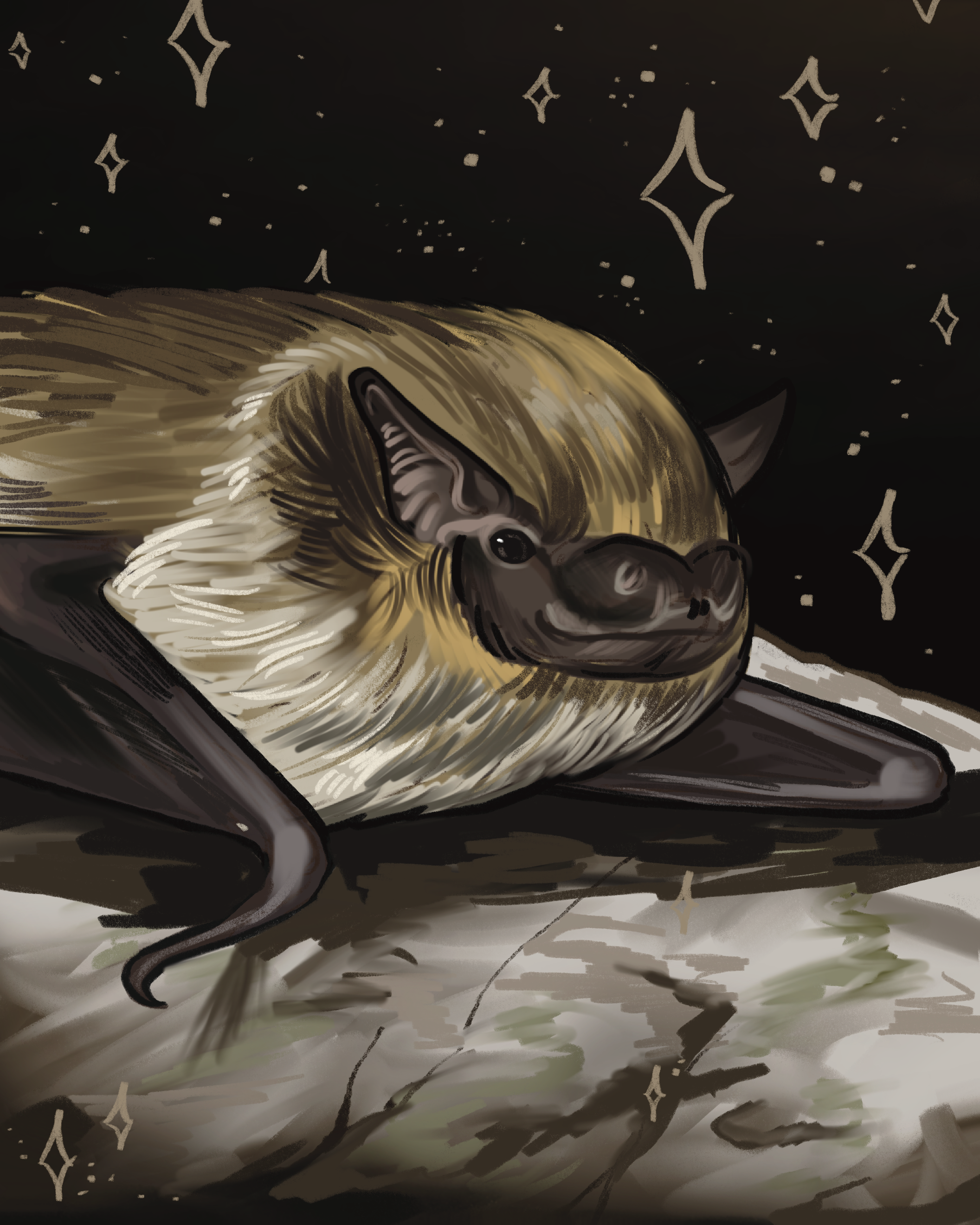 Nurturing natives- Big brown bat