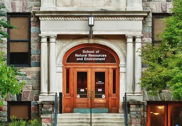 Art & Environment Gallery