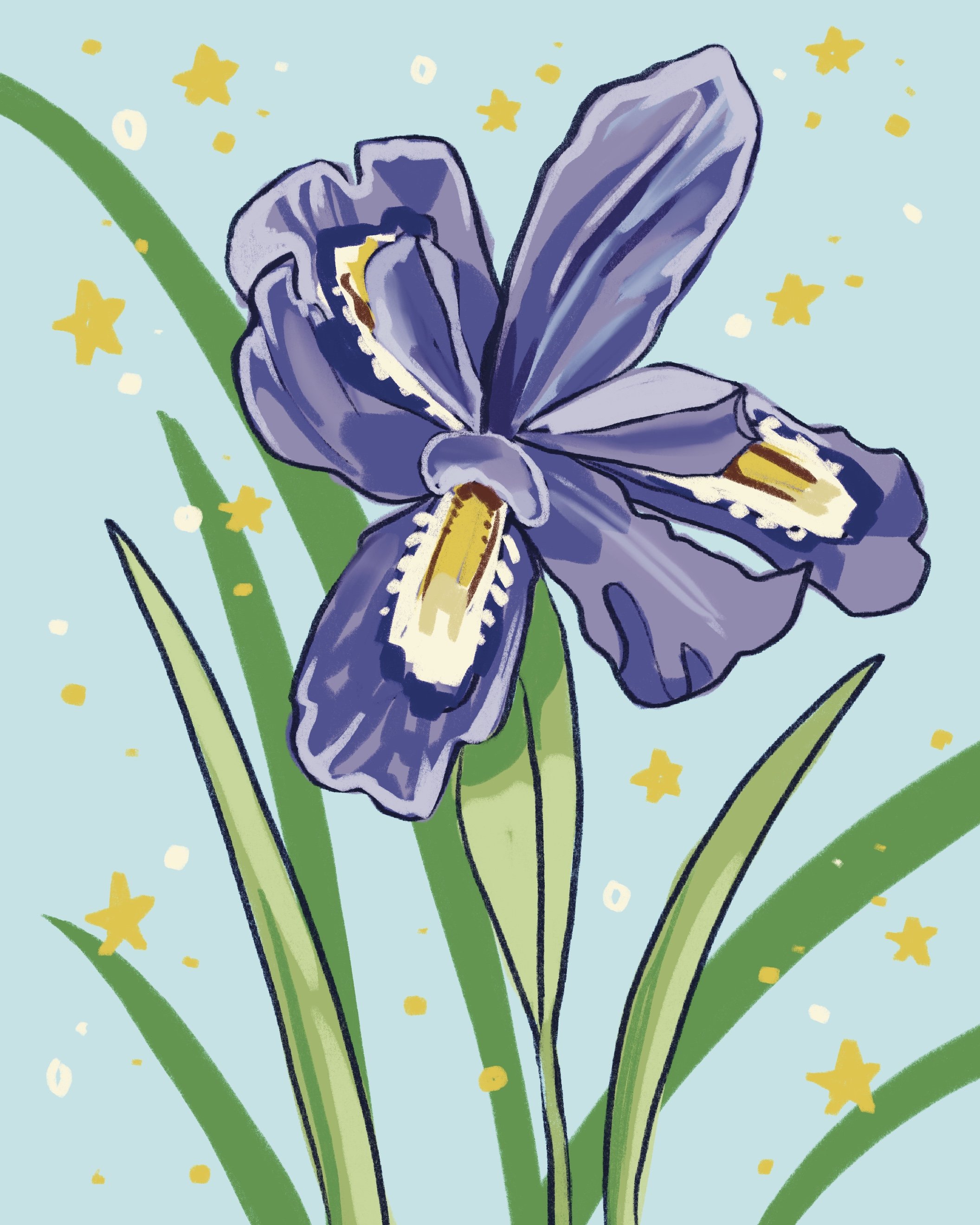 Nurturing Natives- Dwarf Lake Iris