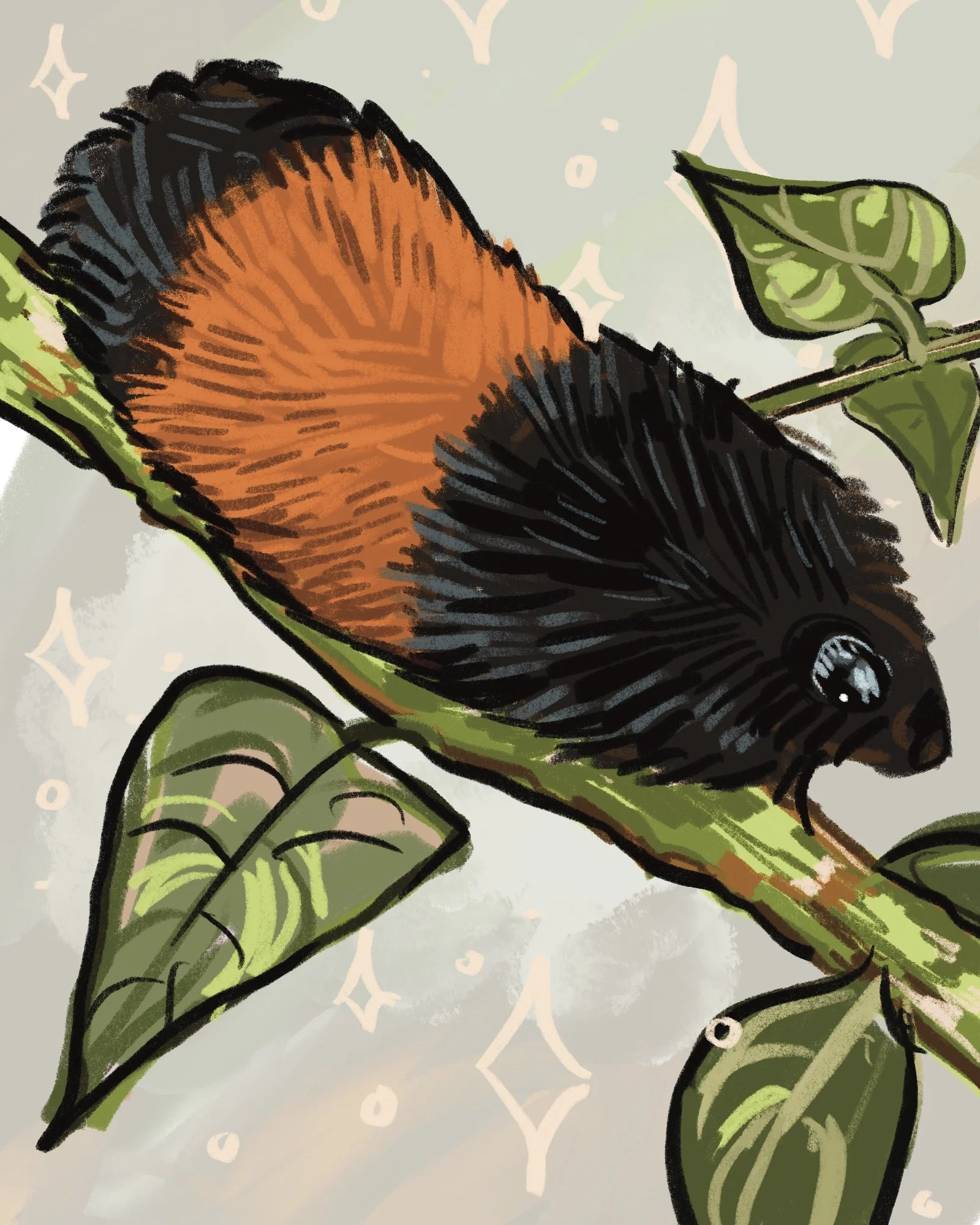 Nurturing Natives- Isabella Tiger Moth