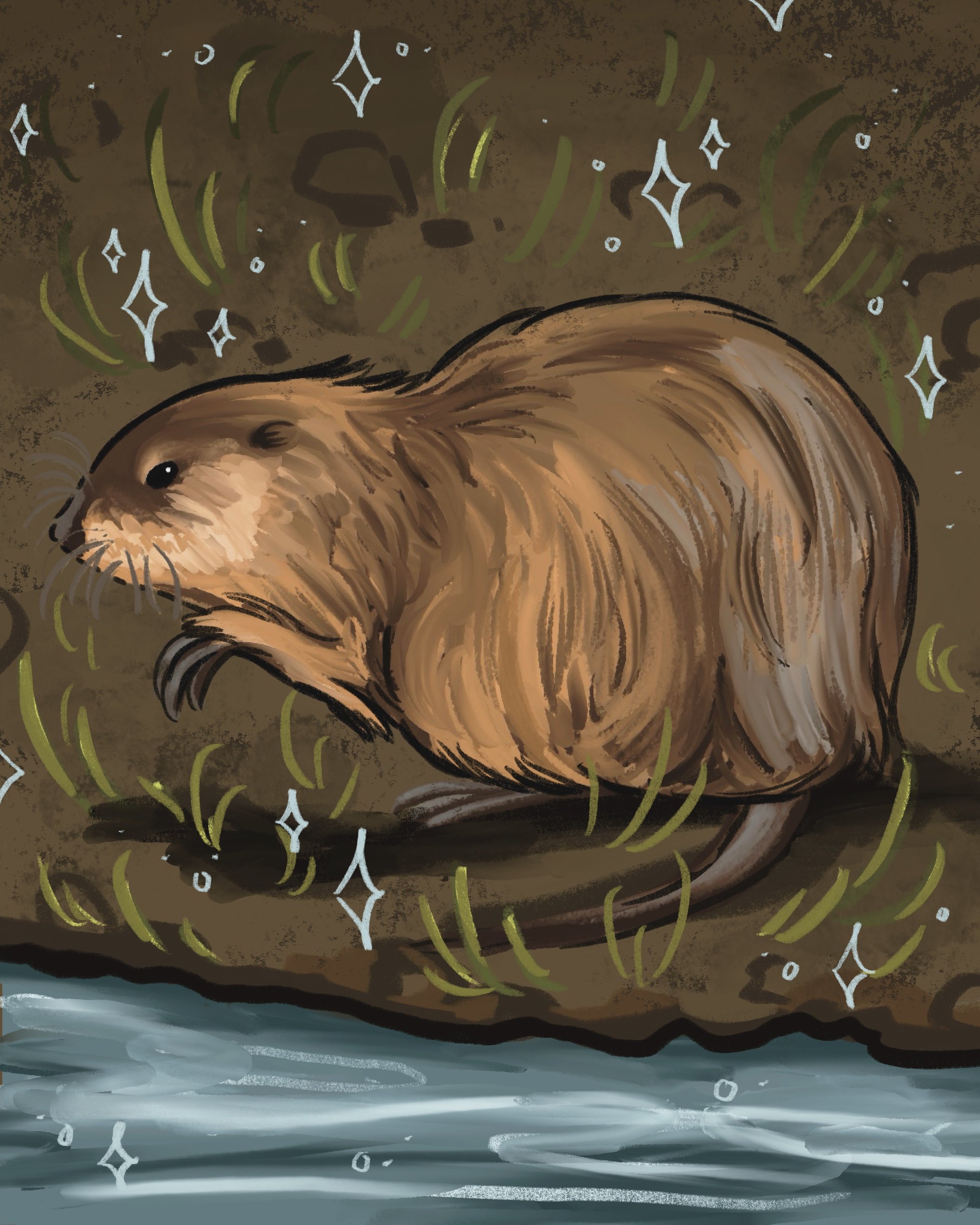 Brown muskrat sits on muddy and grassy riverbank with sparkly background