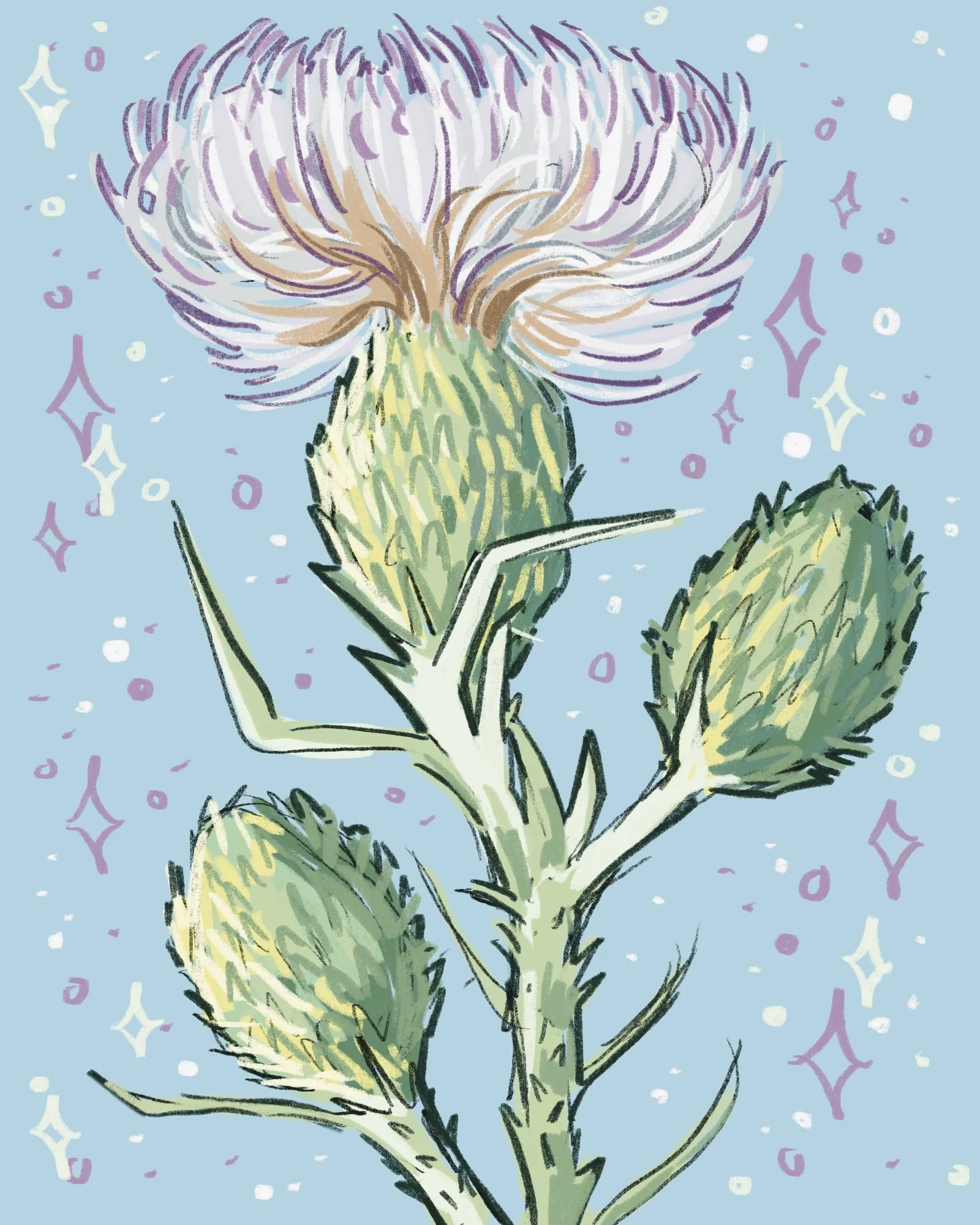 Nurturing Natives- Pitcher’s Thistle