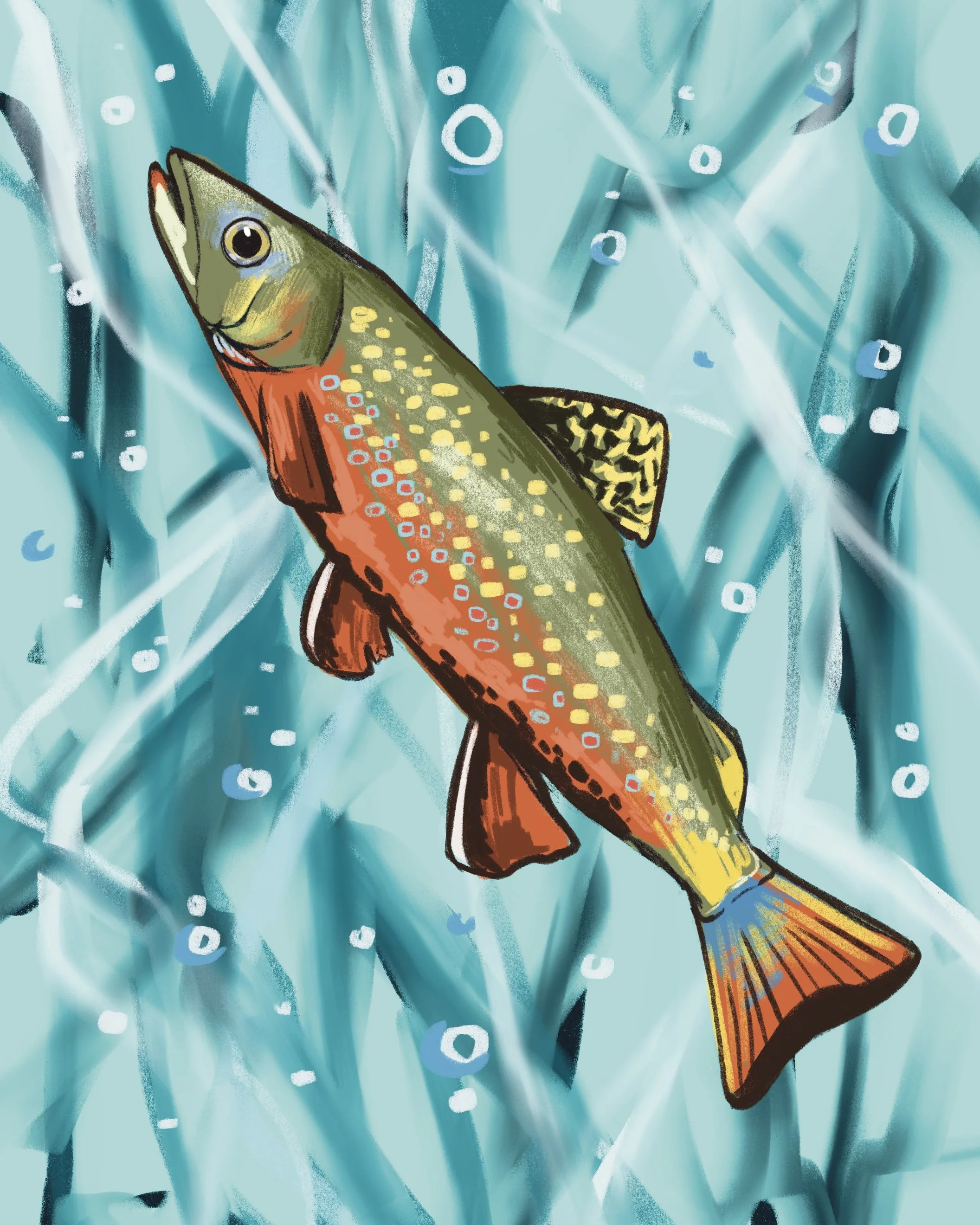 Nurturing natives- Brook Trout